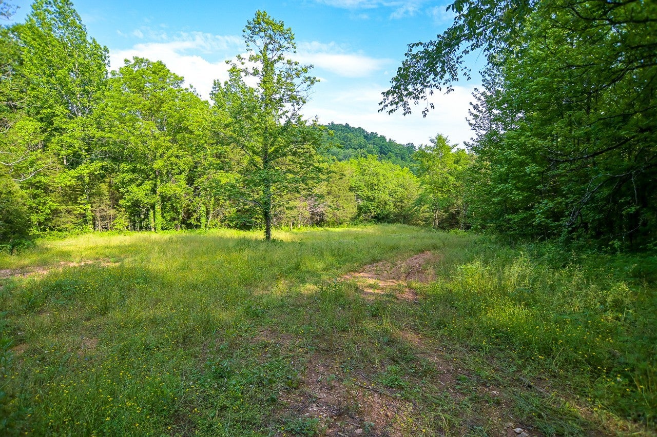 94 Short Creek Rd