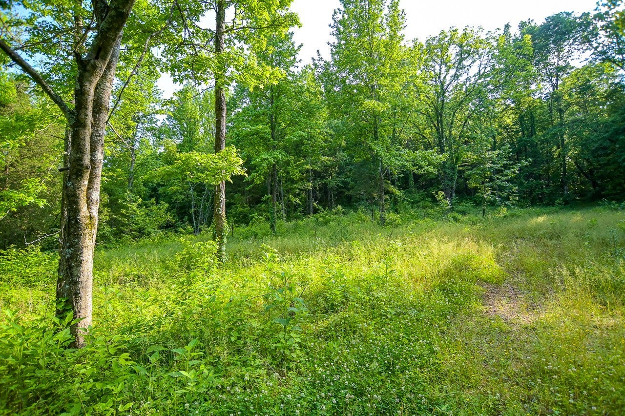 94 Short Creek Rd