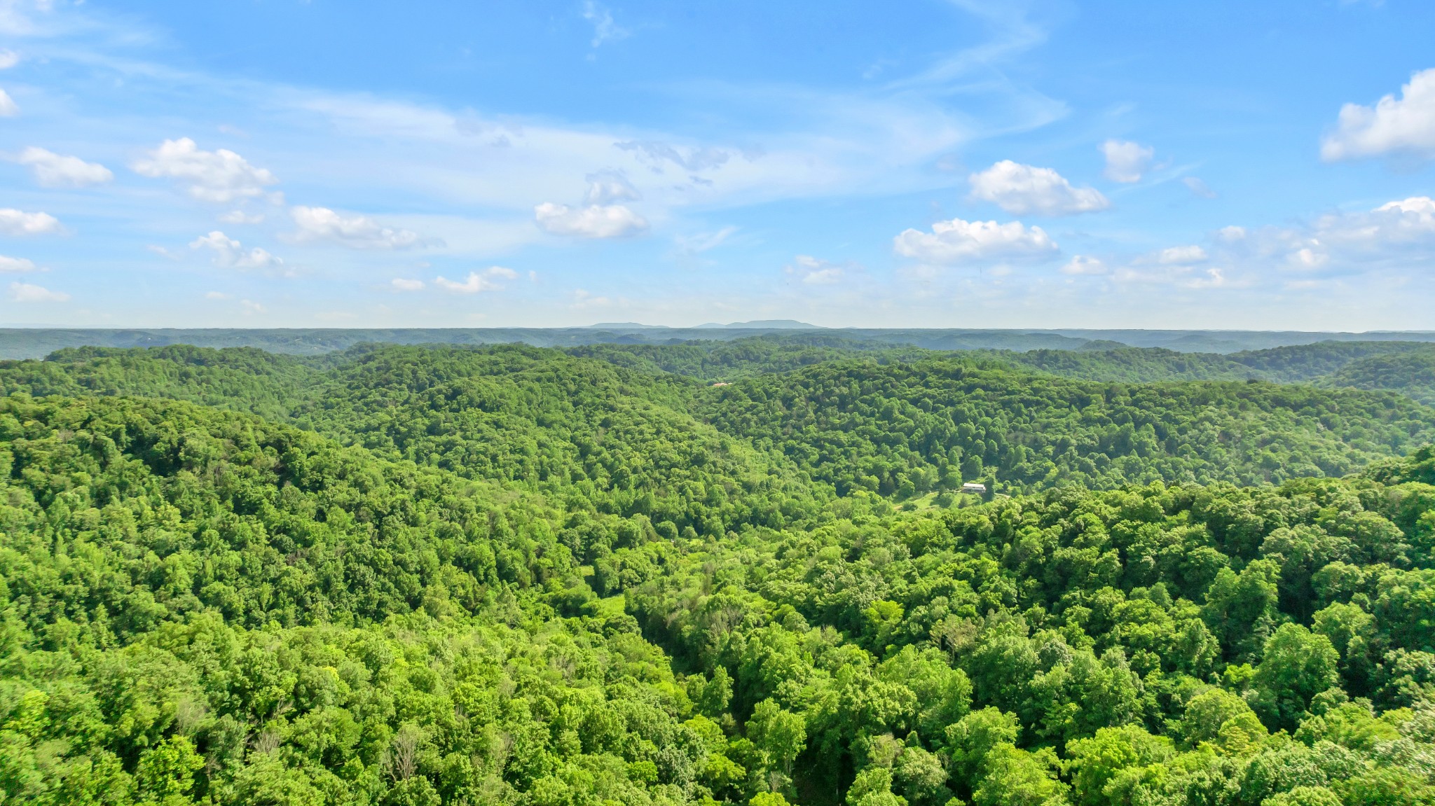 16600 Center Hill Dam Rd - Photo 3