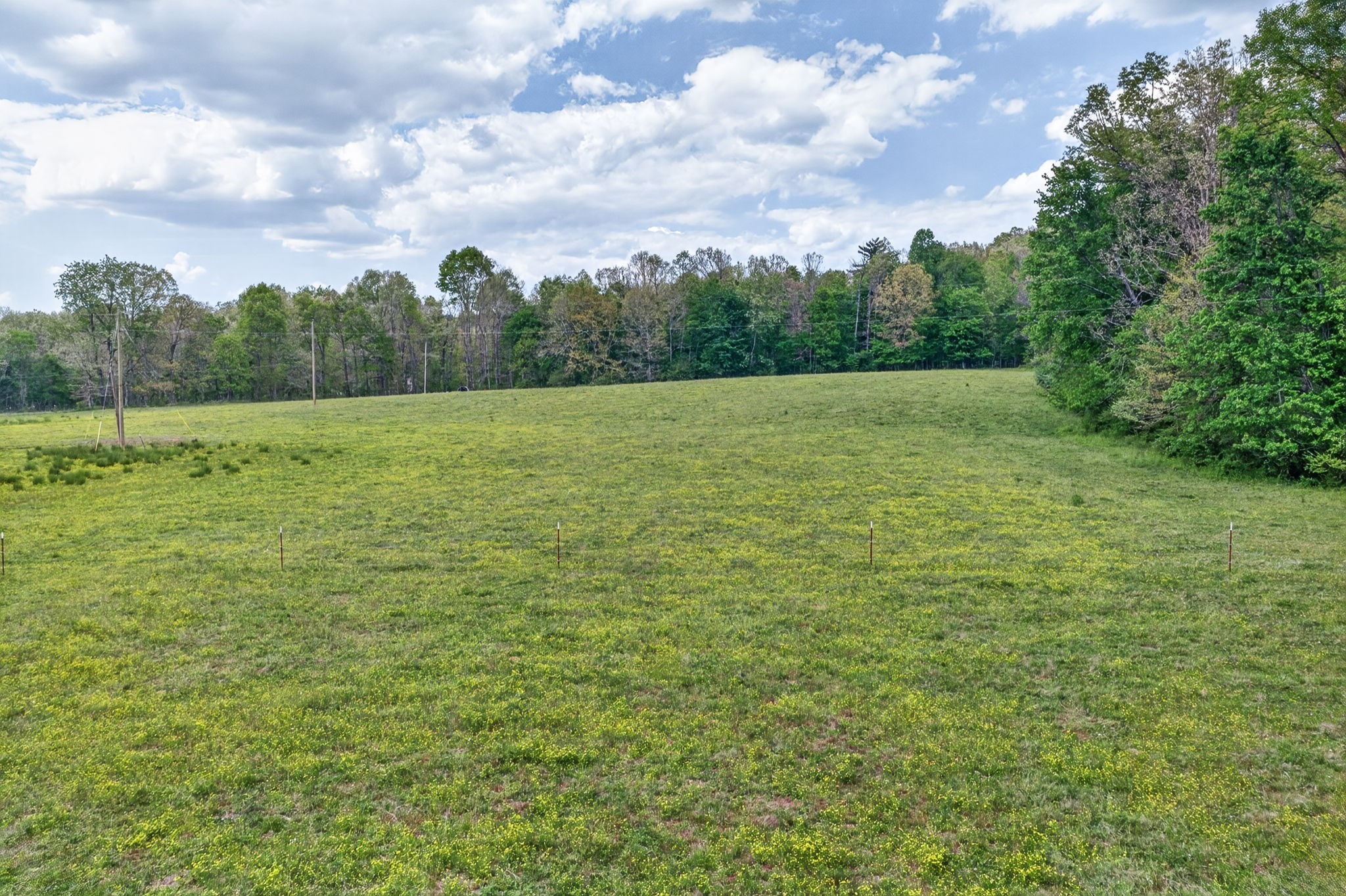 0 Honey Creek Loop Rd