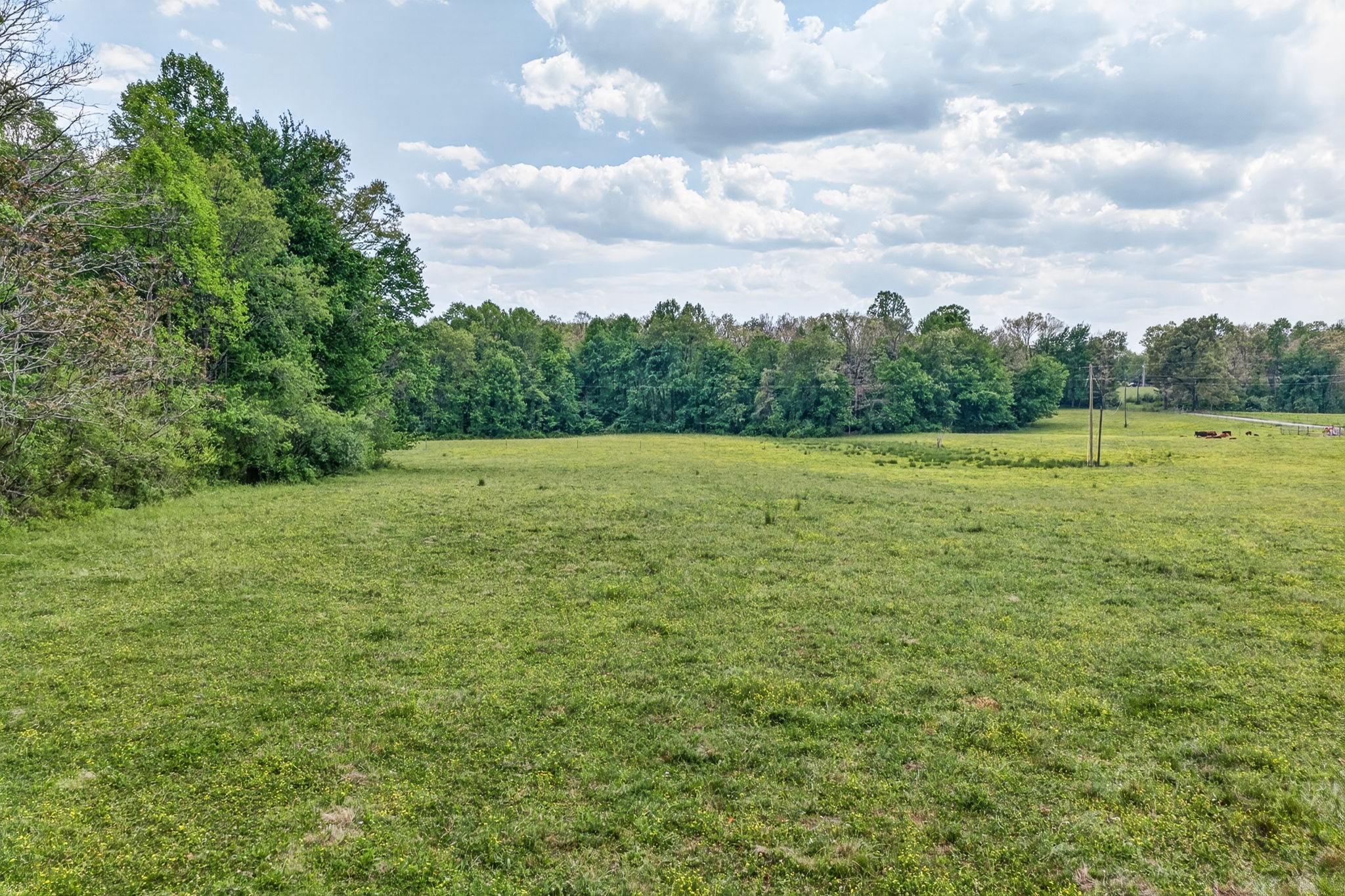 0 Honey Creek Loop Rd