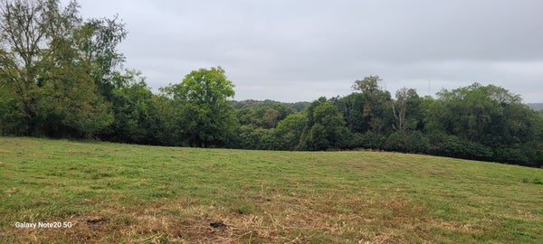 125 BEASLEY RD, EAGLEVILLE, TN 37060 - Image 217d59d304f4e66e959ea7a40126a8d6/1495342298
