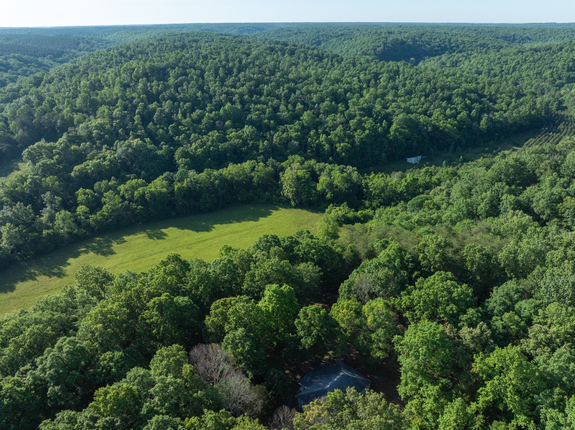 Photo 5 of 70 of 1255 Big Swan Creek Rd land