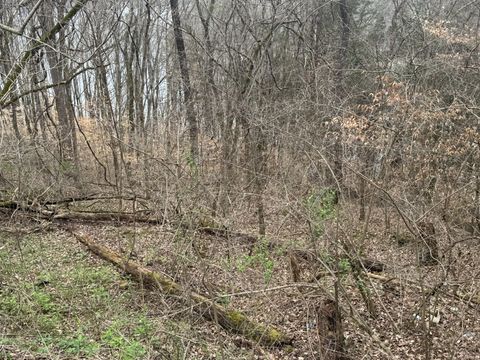 0 Lakeside Dr Smithville TN 37166