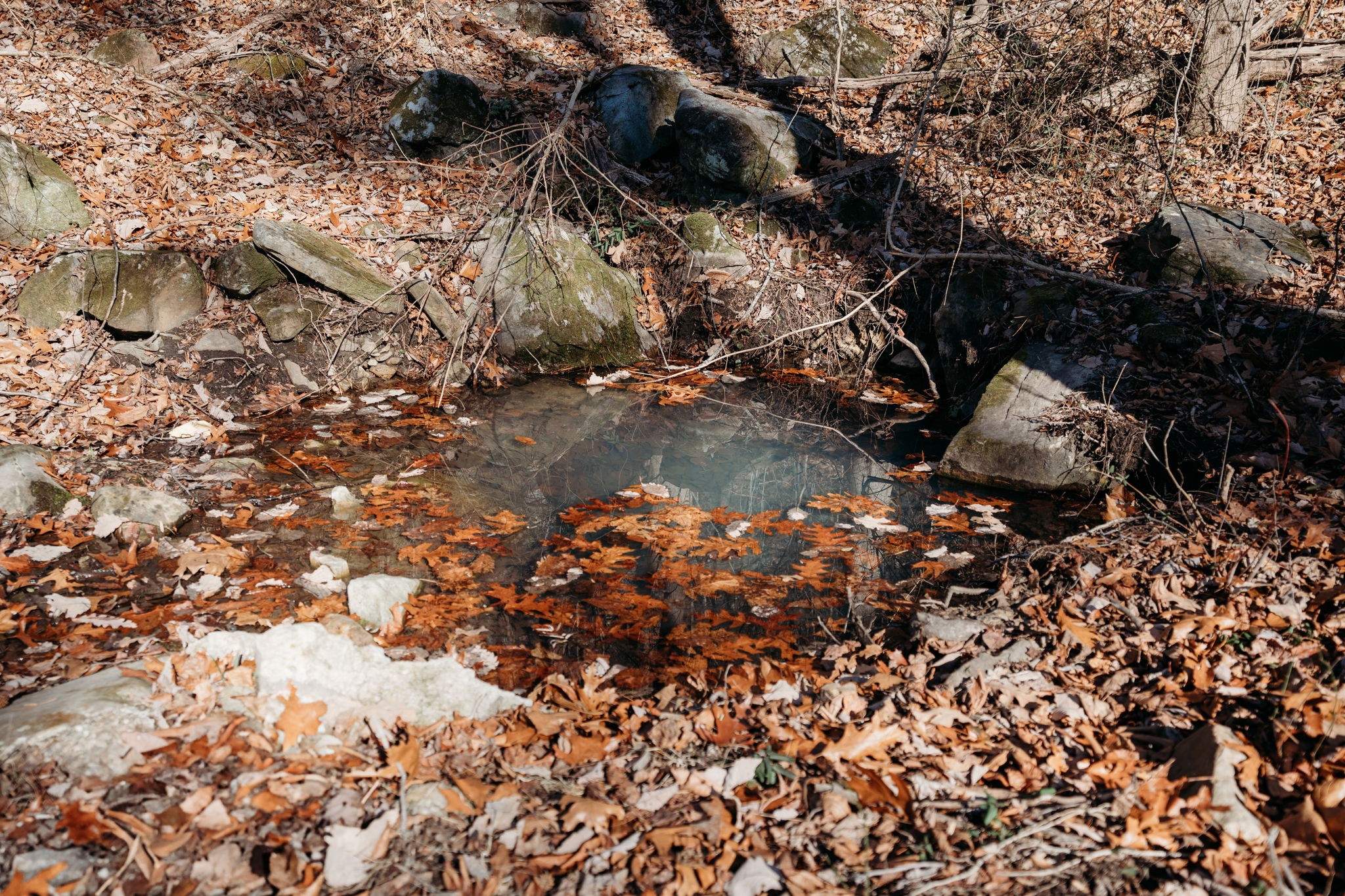 2425 Suck Creek Rd