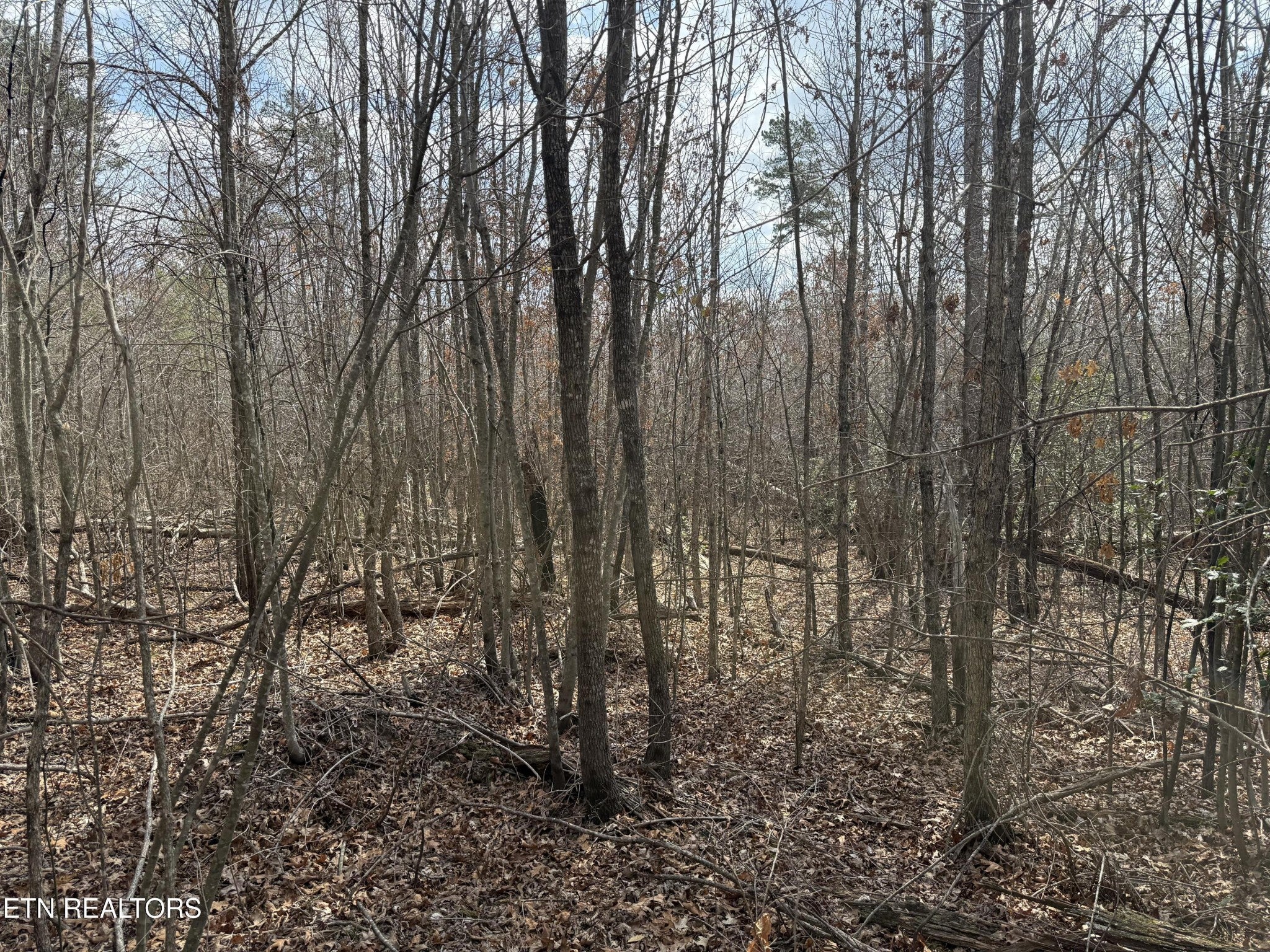 0 Cumberland Lakes Drive