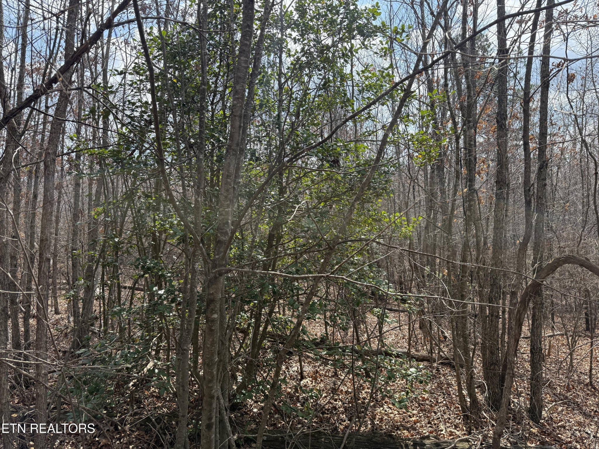 0 Cumberland Lakes Drive