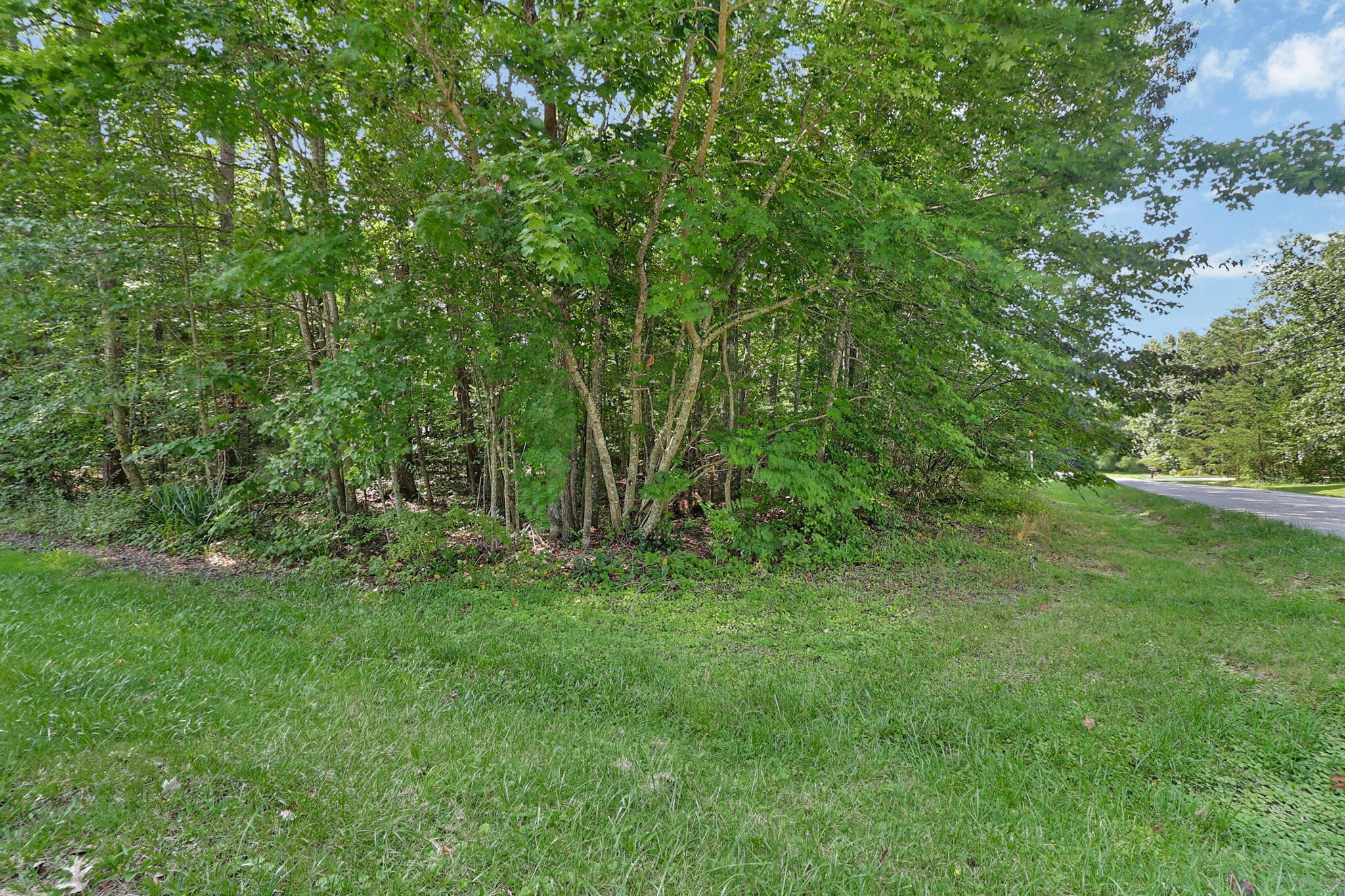 228 Pomeroy Drive