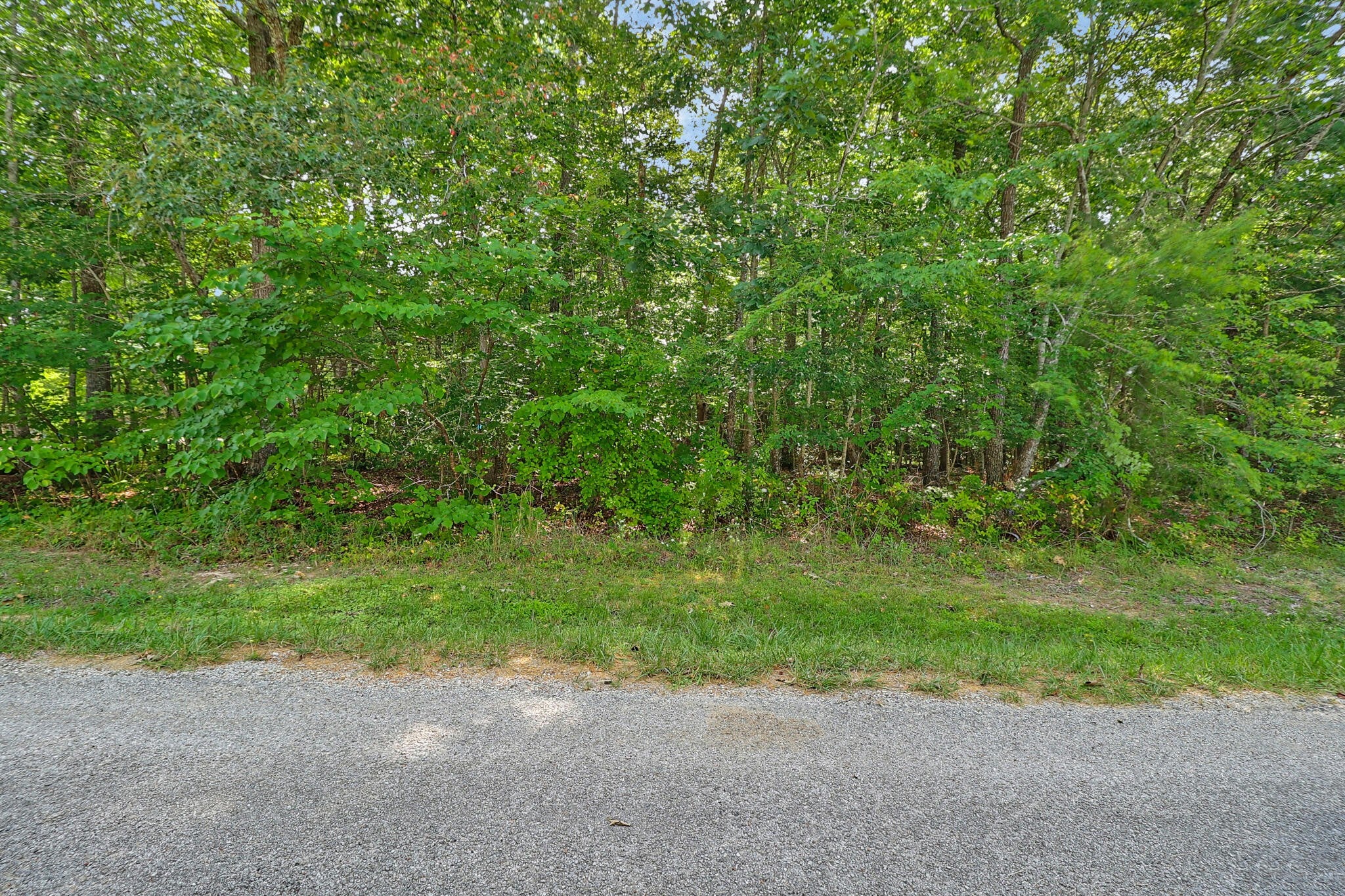 228 Pomeroy Drive