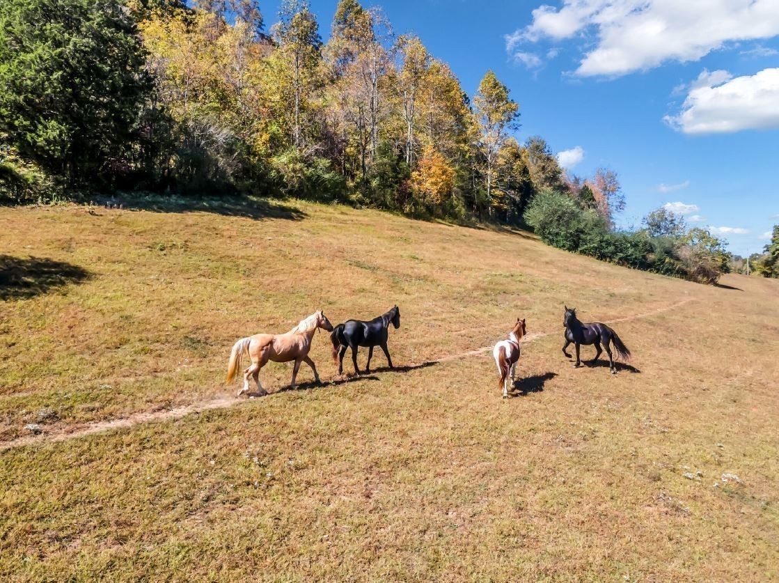 13581 Campbellsville Rd LOT 2