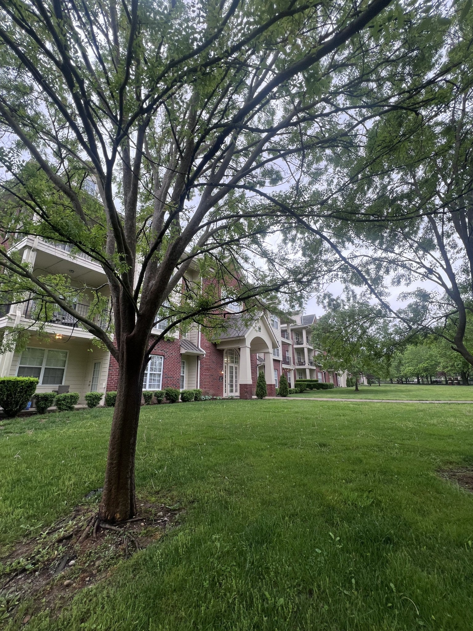 3201 Aspen Grove Dr D3