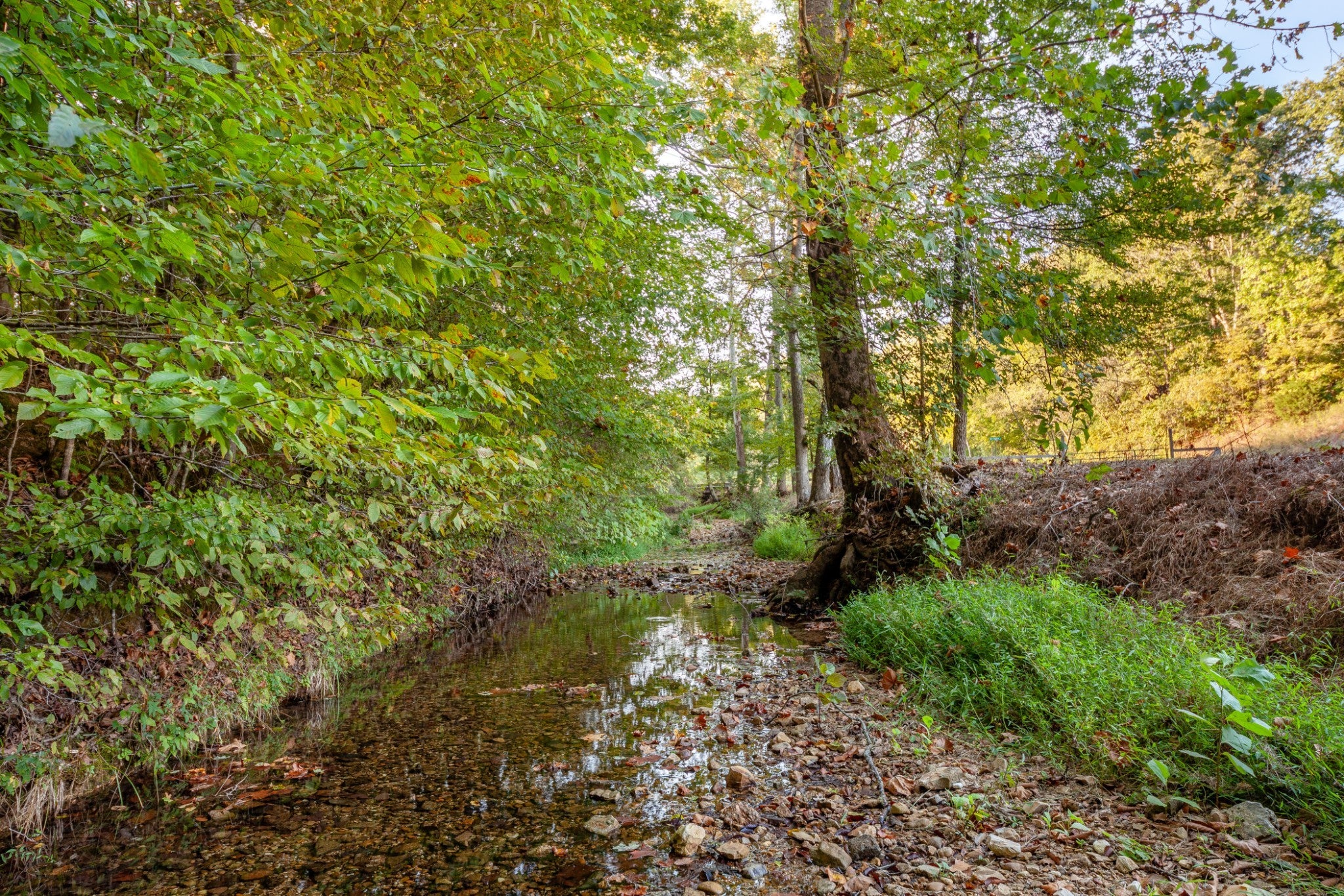 0 Puckett Hollow Rd