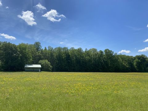 0 Lick Creek Rd Linden TN 37096