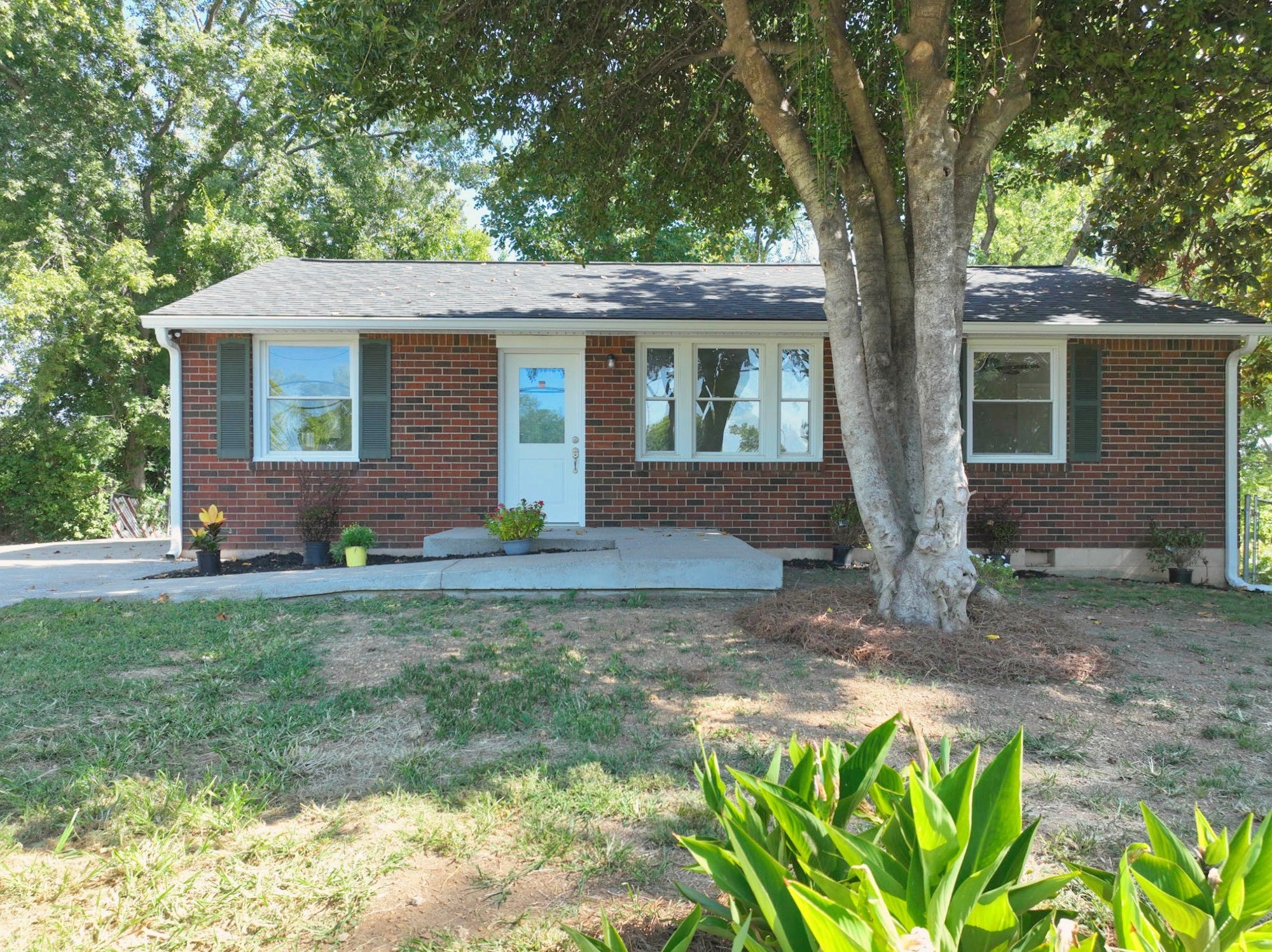 3944 Plantation Dr