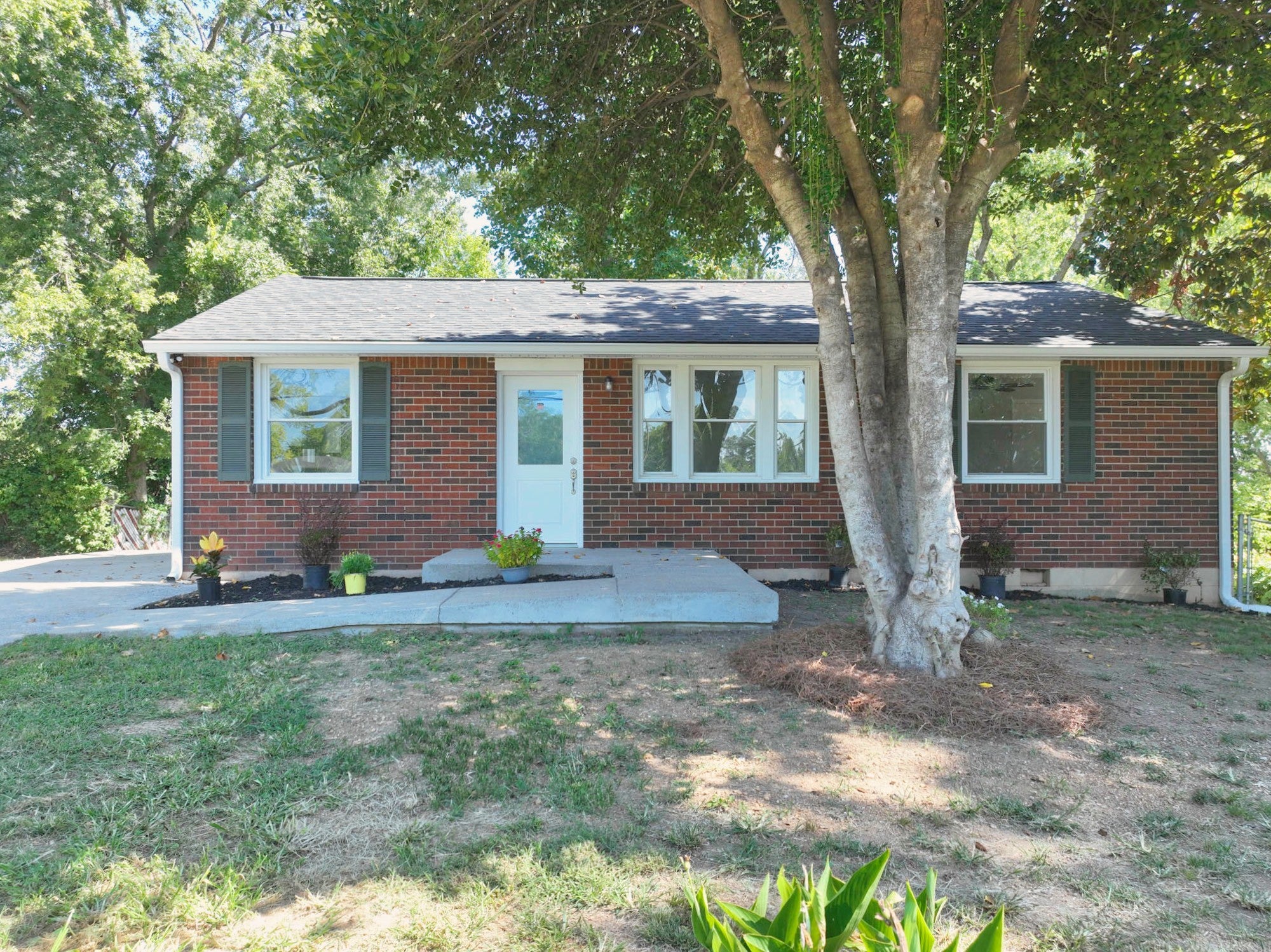 3944 Plantation Dr