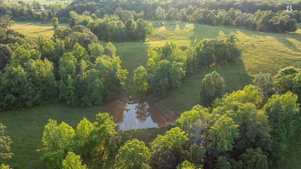 400 McIntosh Chapel Rd