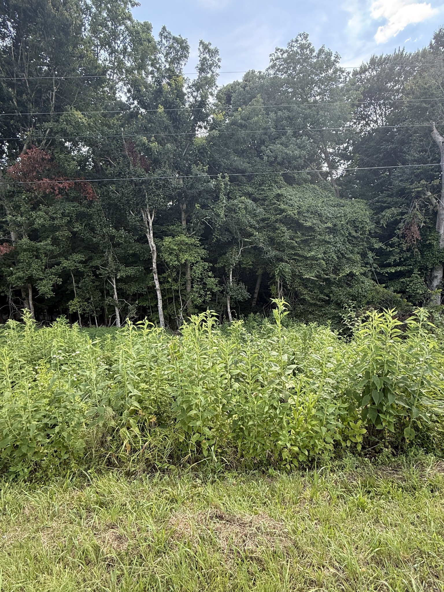 0 Reed Rd