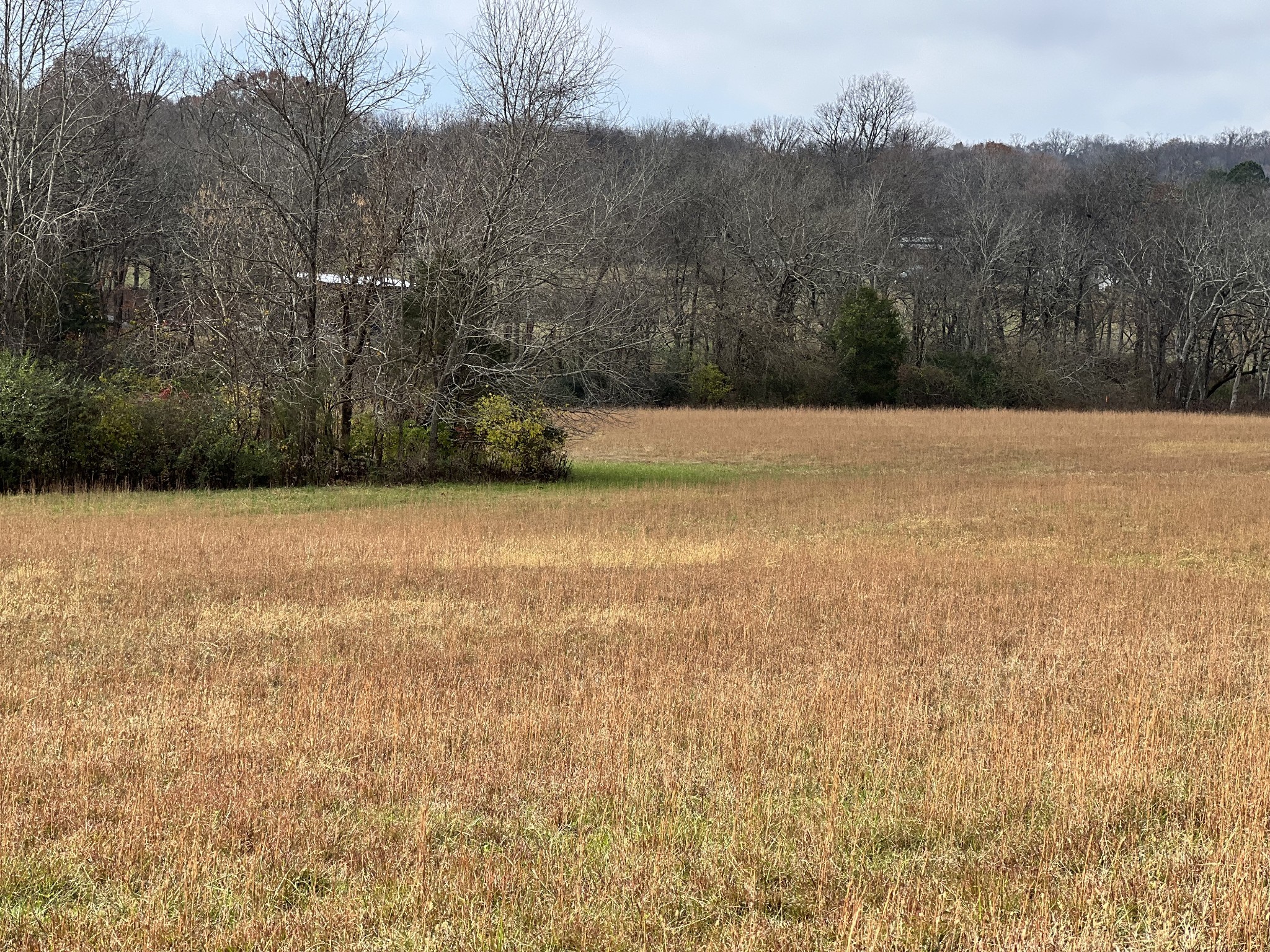 0 Carters Creek Pike