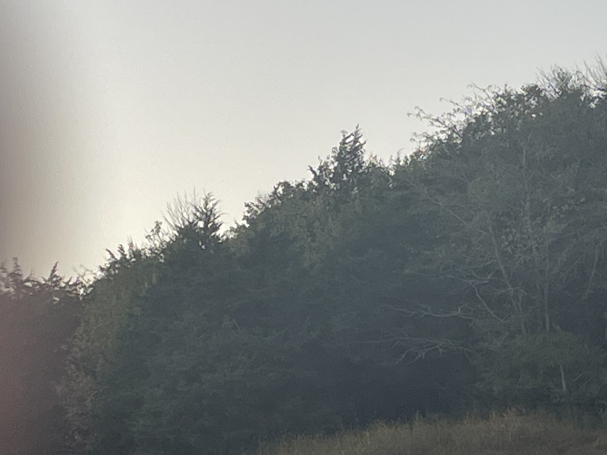 0 Ingram Rd