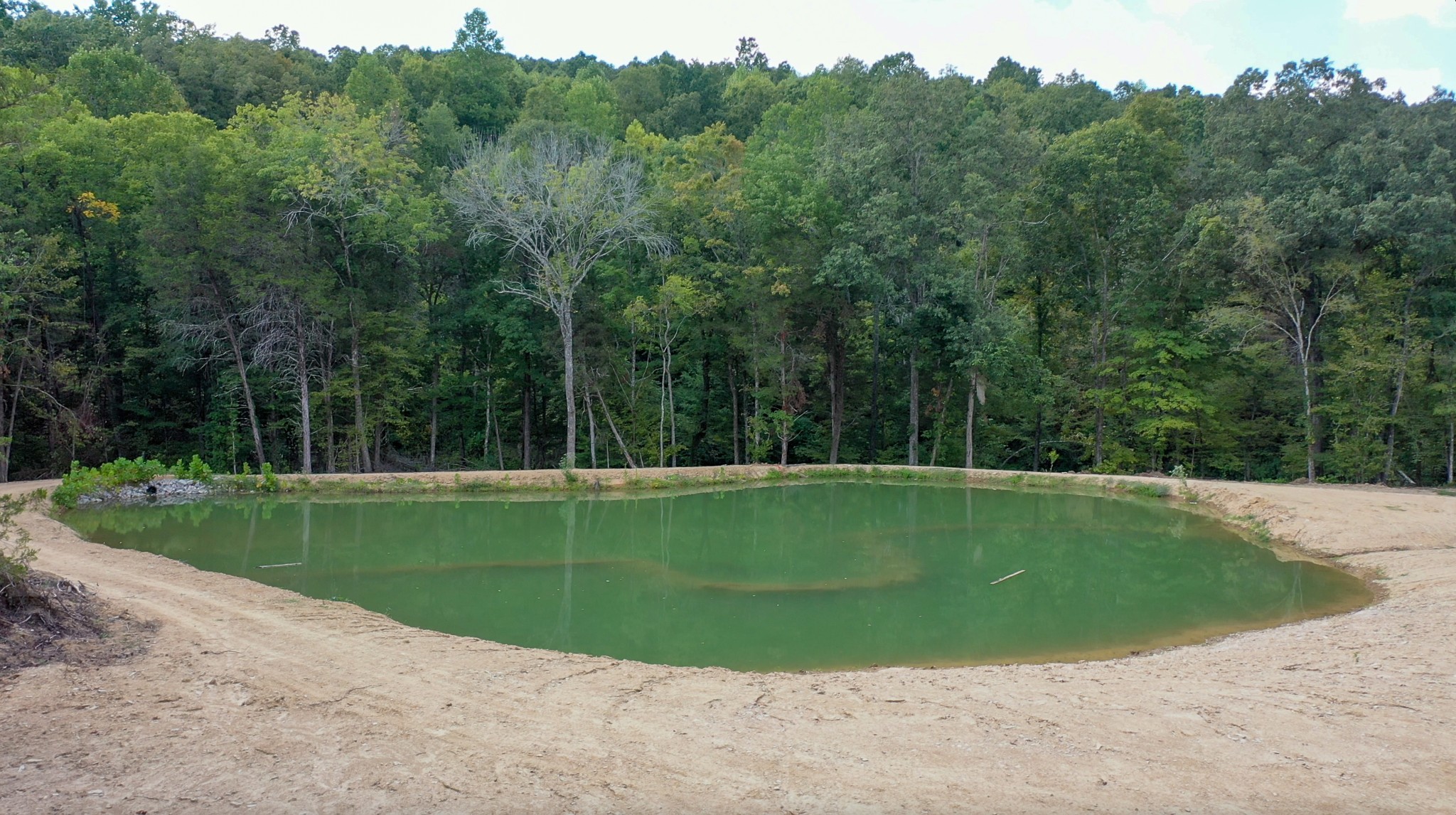 841 McCord Hollow Rd