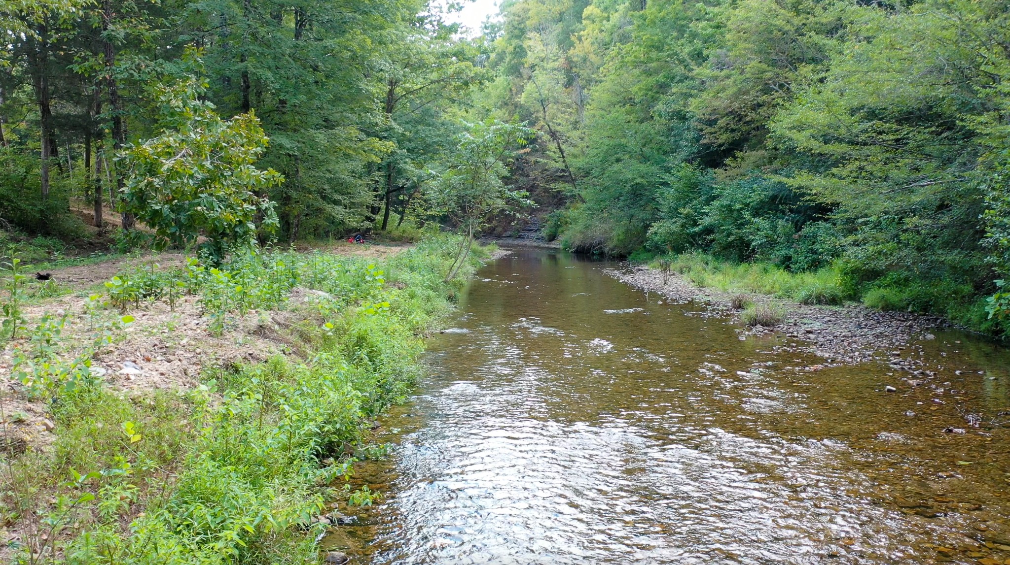 841 McCord Hollow Rd