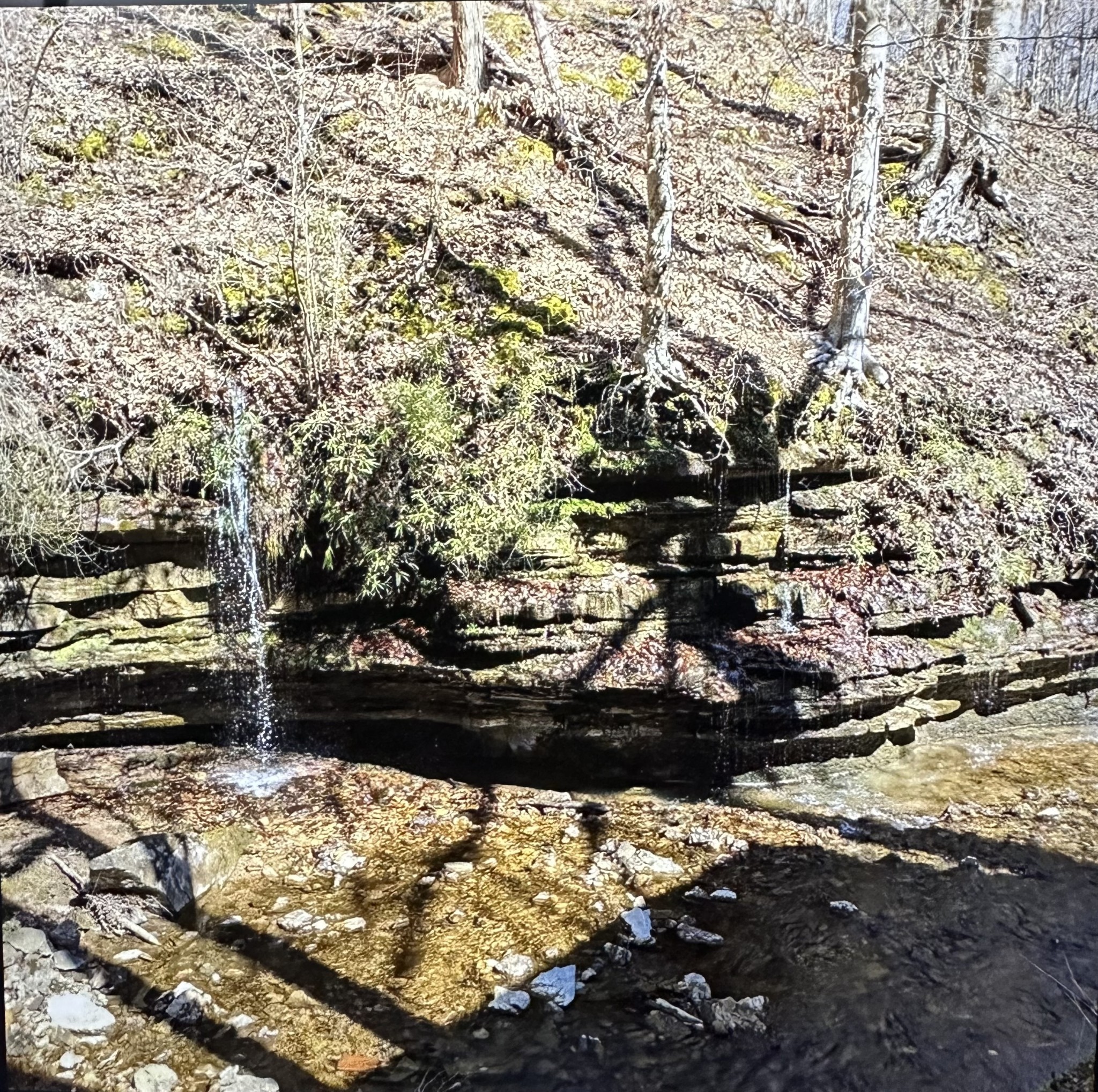 2024 Powdermill Hill Rd