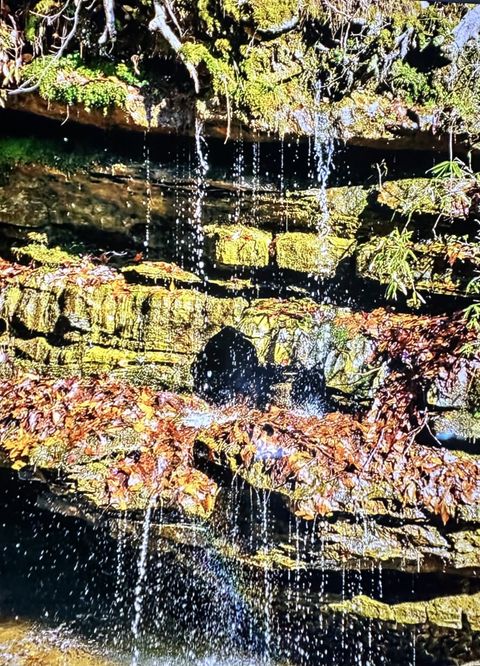 2024 Powdermill Hill Rd Lawrenceburg TN 38464