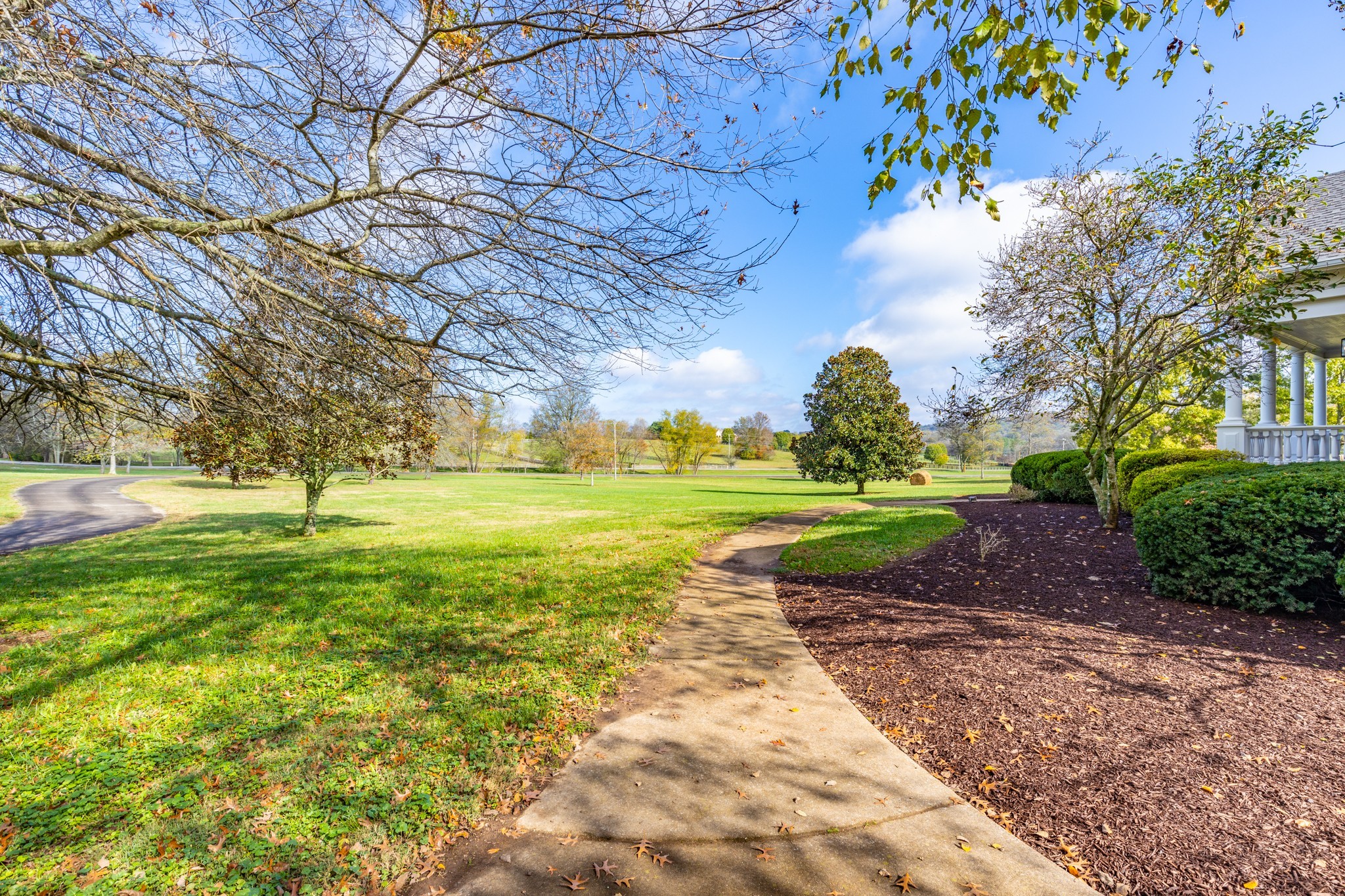 1175 Sequoya Trl