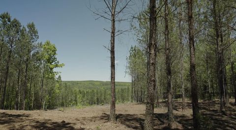 0 Worley Road Soddy Daisy TN 37379