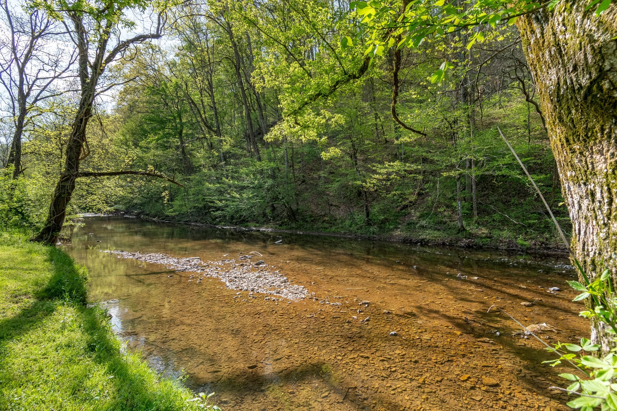 6558 Leipers Creek Road