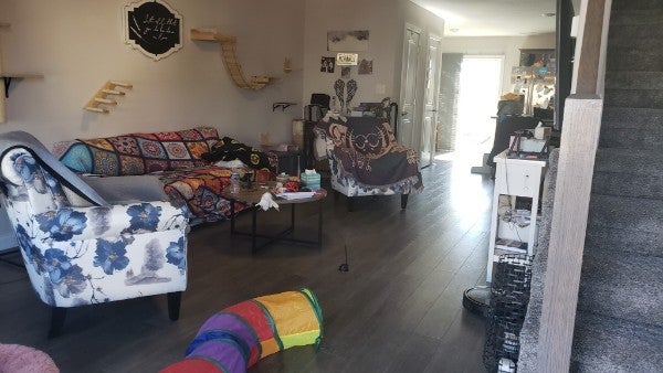 203 Alexander Blvd