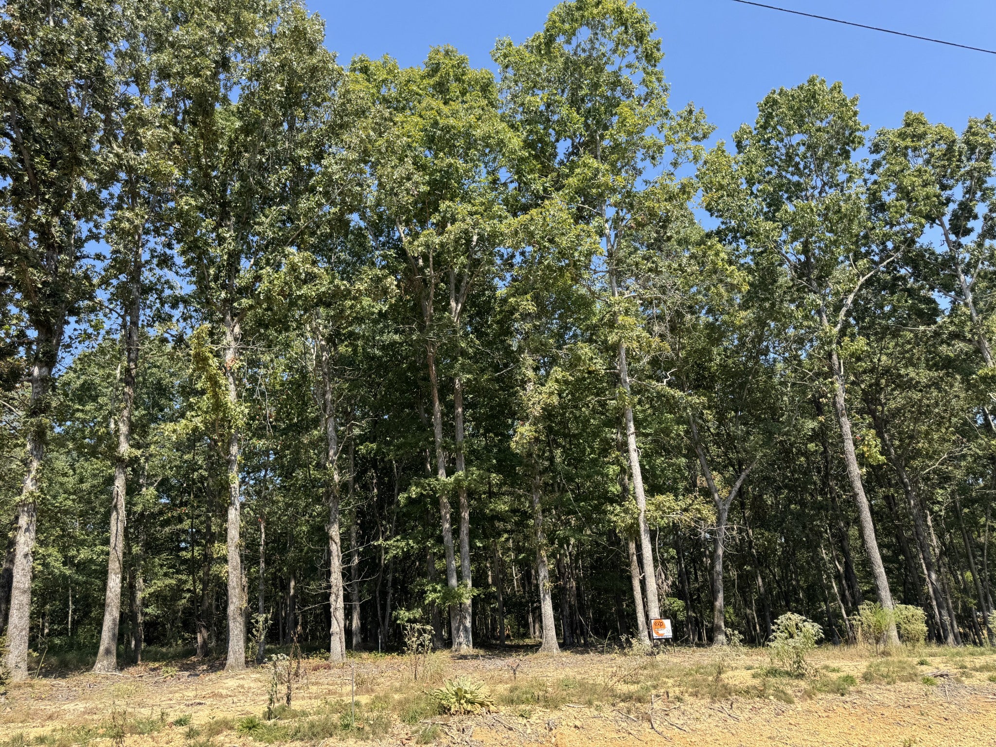 0 Longwood Court
