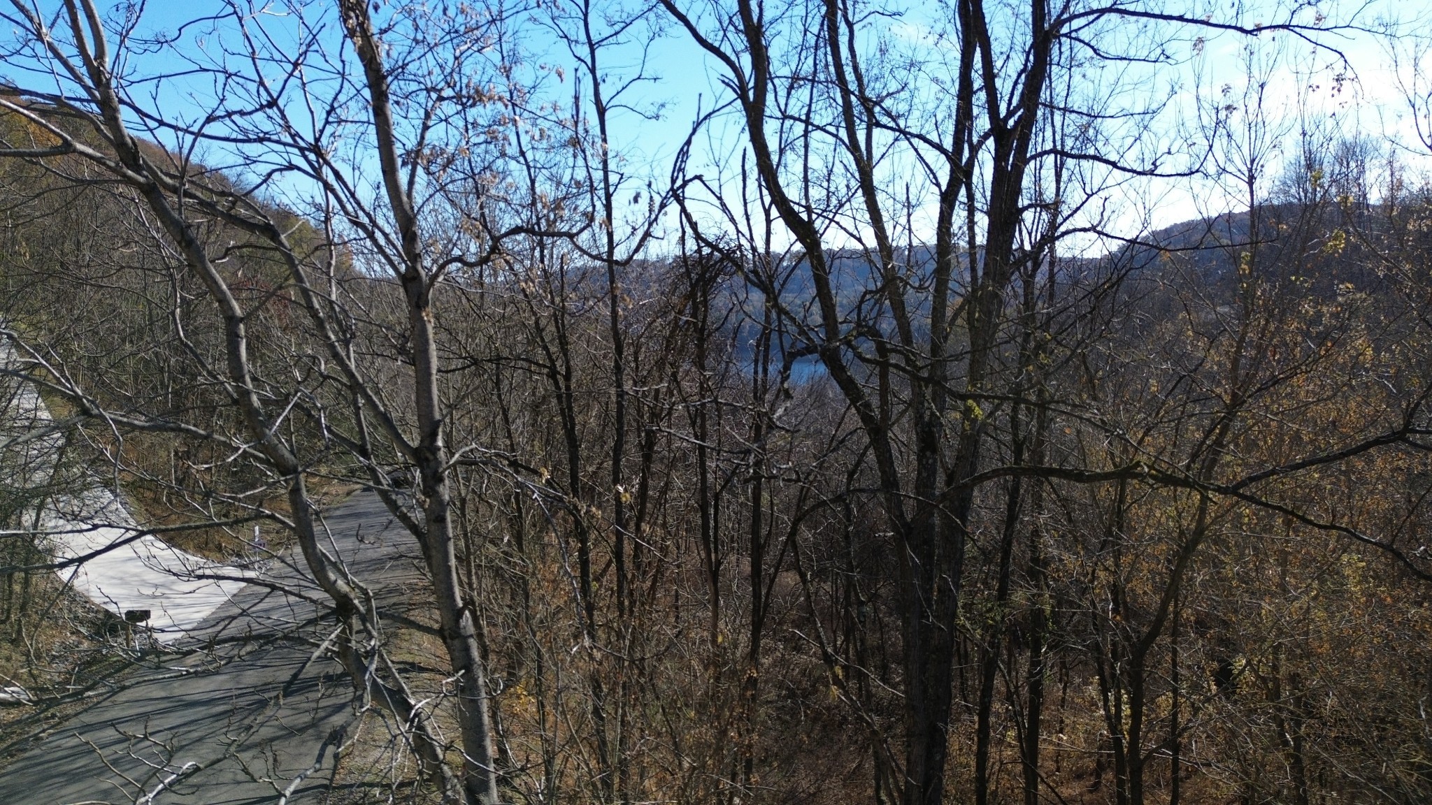 86 Blackberry Ridge Way