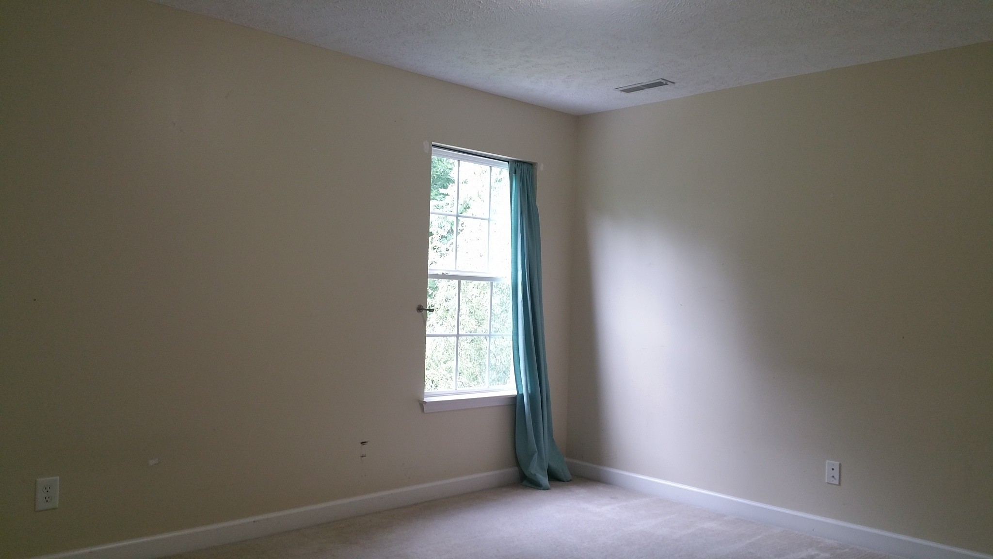 520 Scotts Creek Trl
