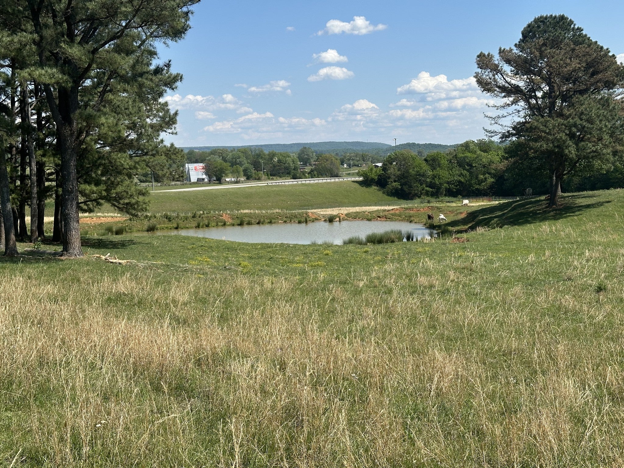 0 Charles Golden Rd