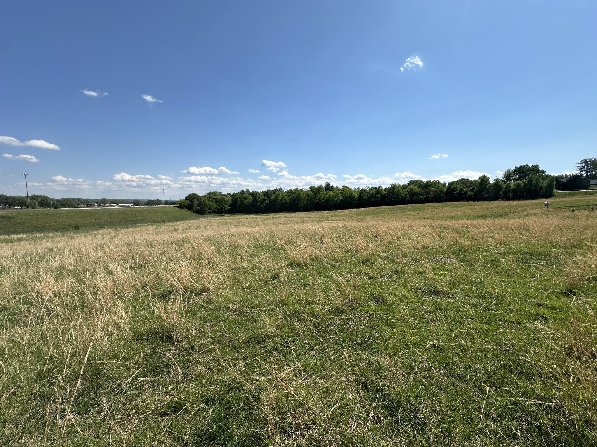 0 Charles Golden Rd