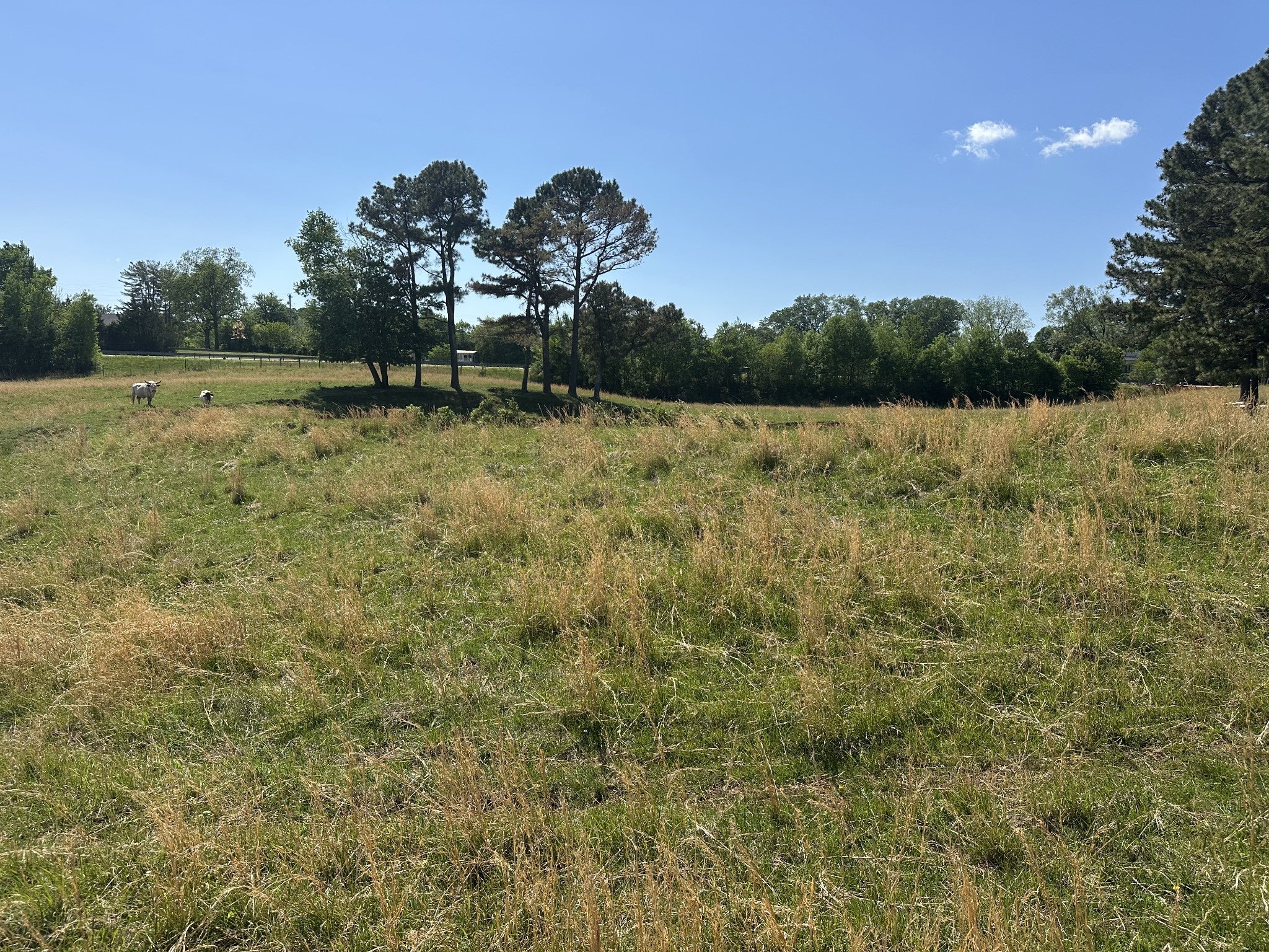0 Charles Golden Rd
