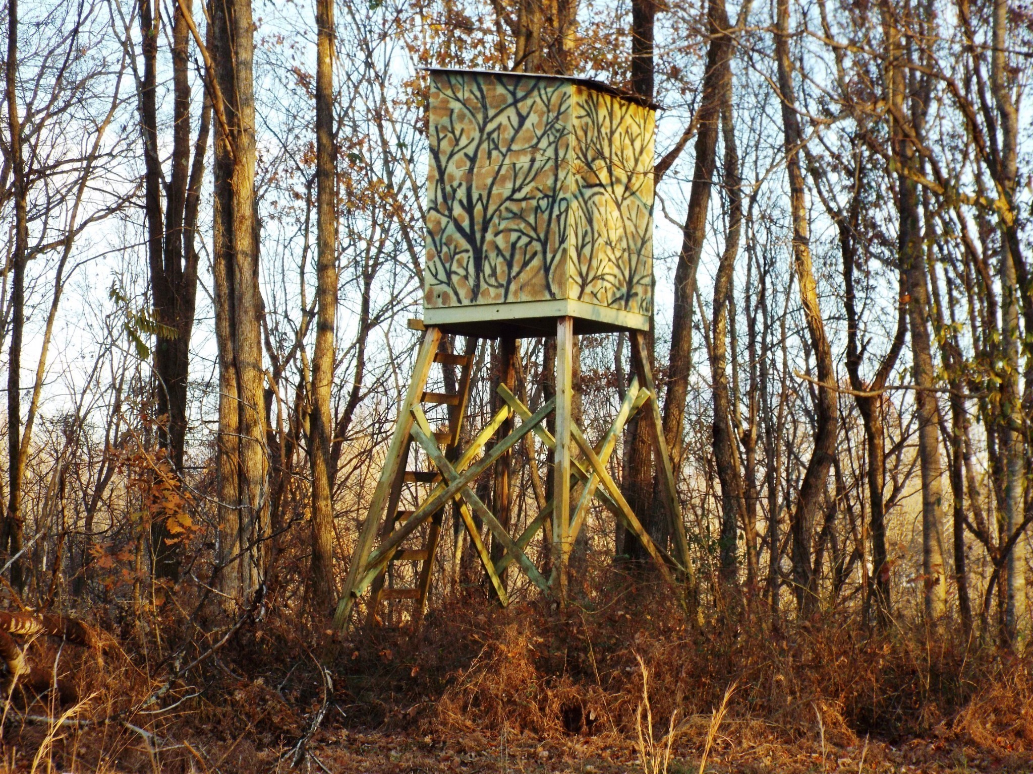 198 Rock House Hollow Pvt Ct