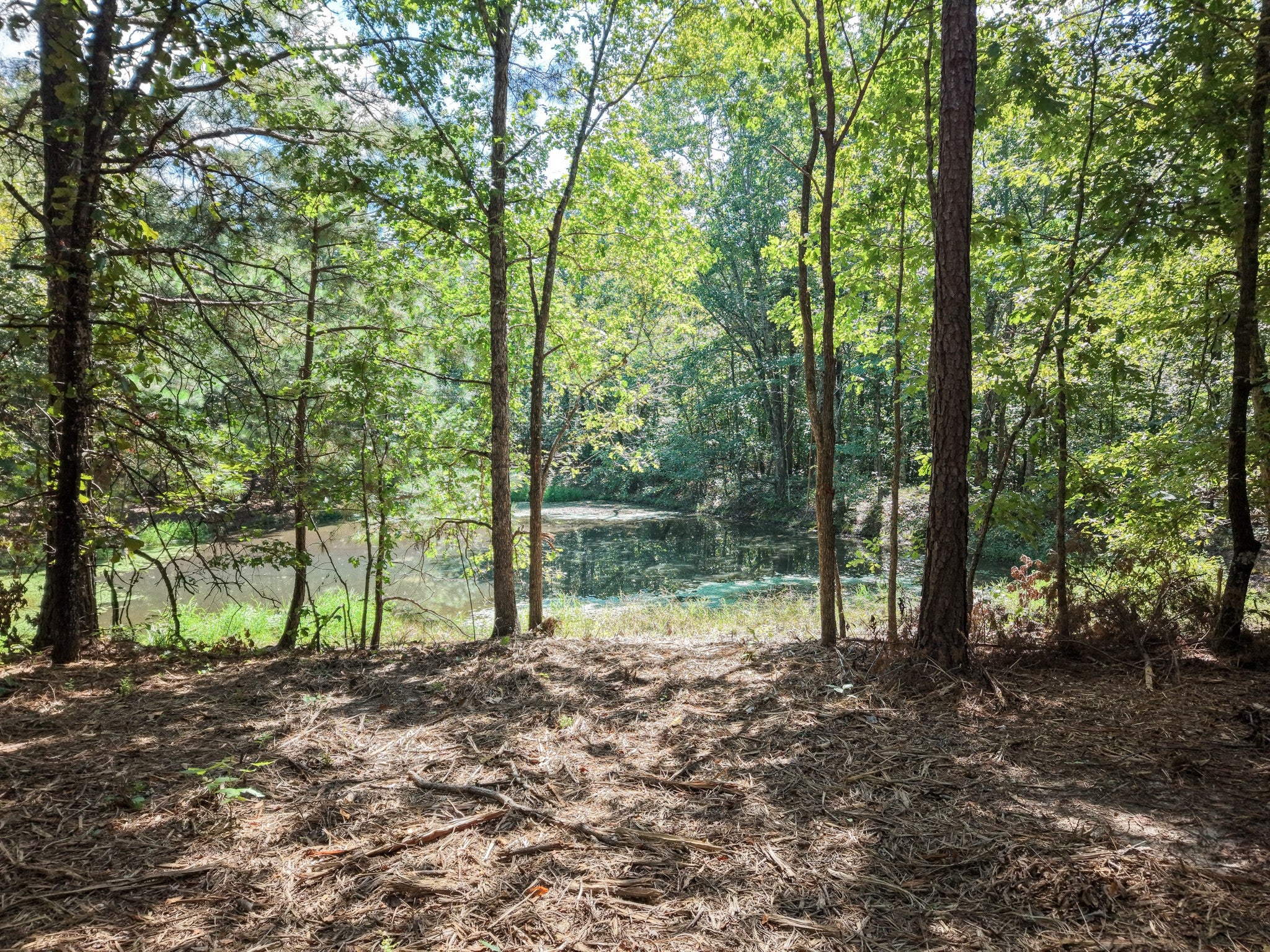 0 Point Mason Rd