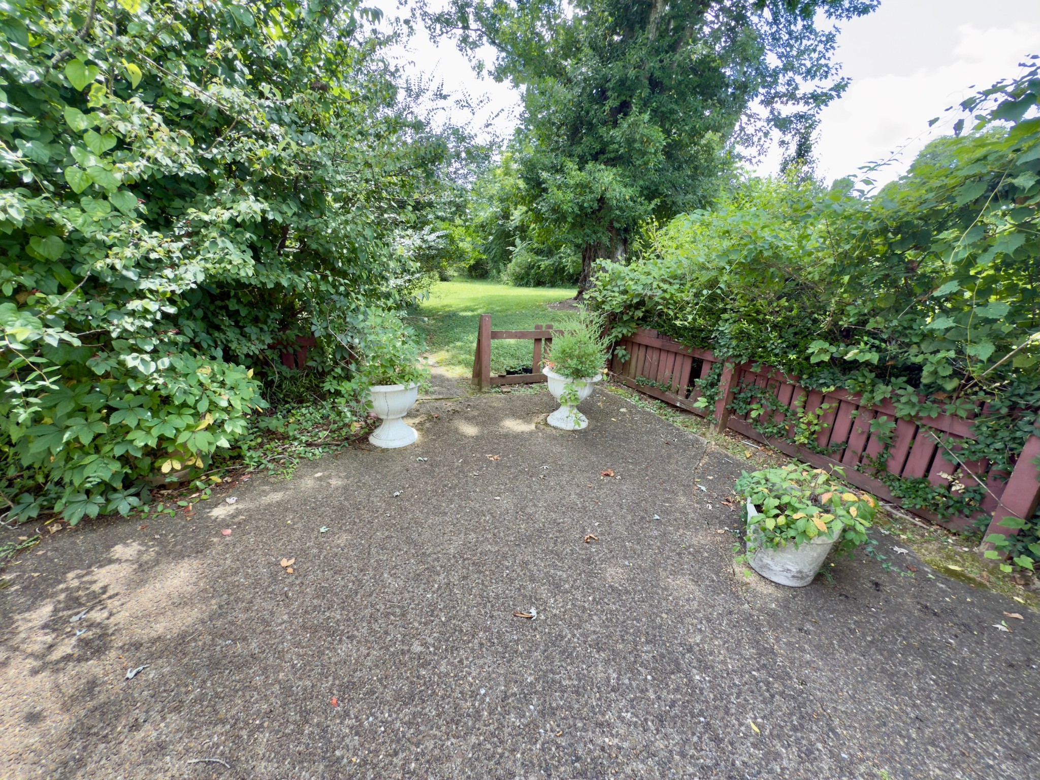 113 Bluff Springs Rd