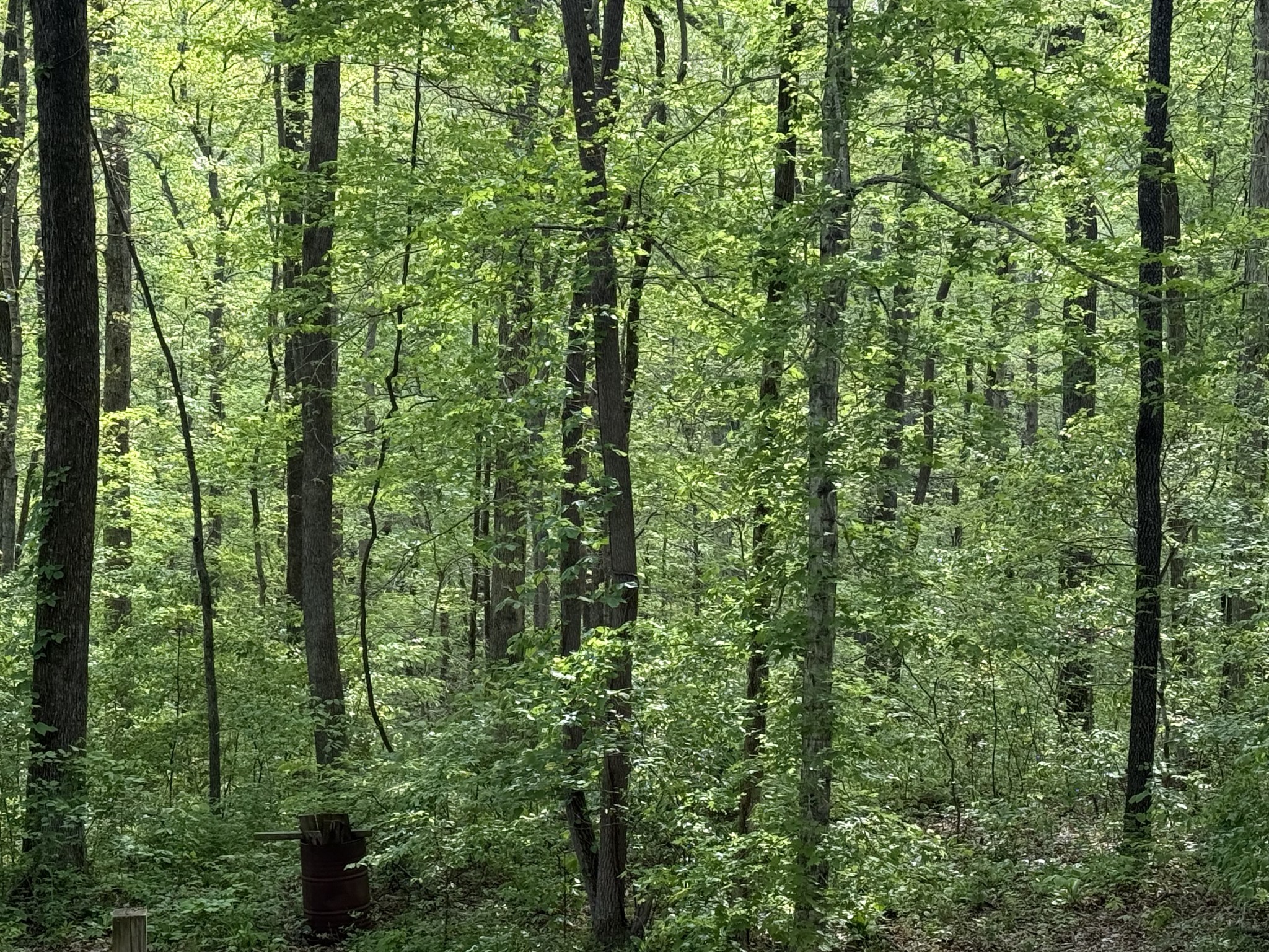 608 Evening Shade Dr S