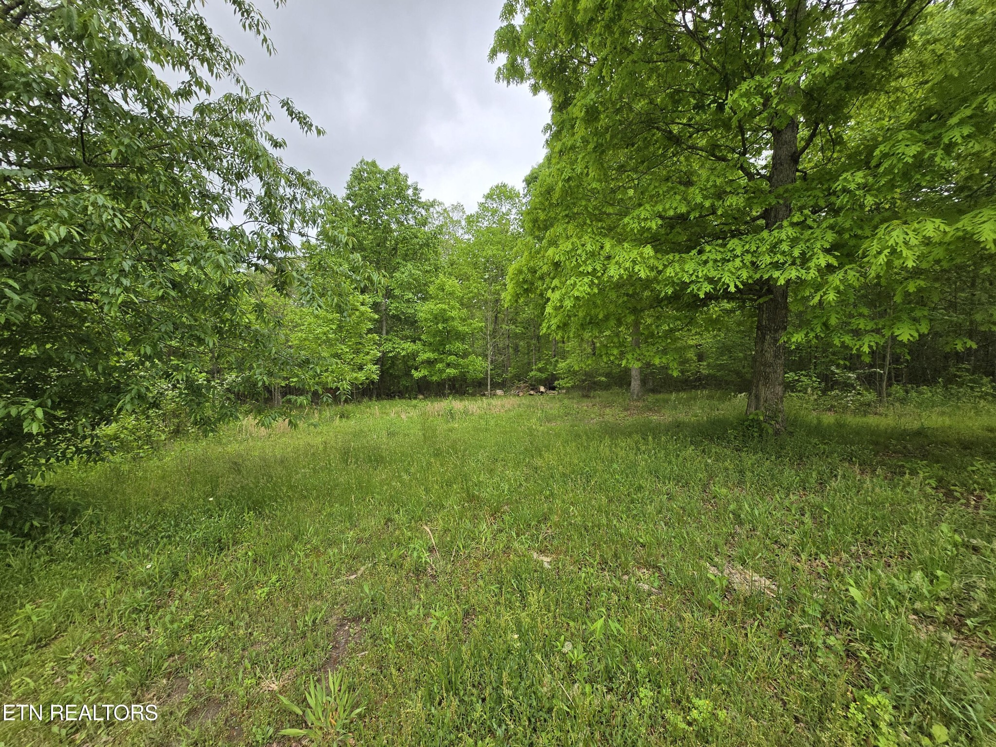 7296 Genesis Rd