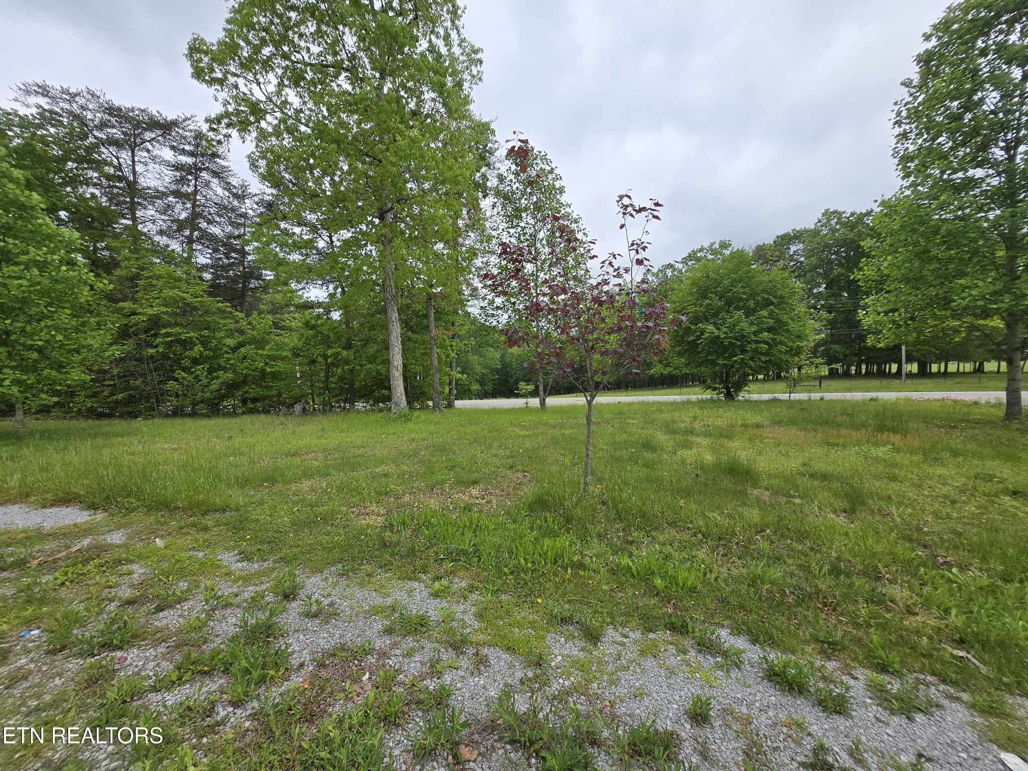 7296 Genesis Rd
