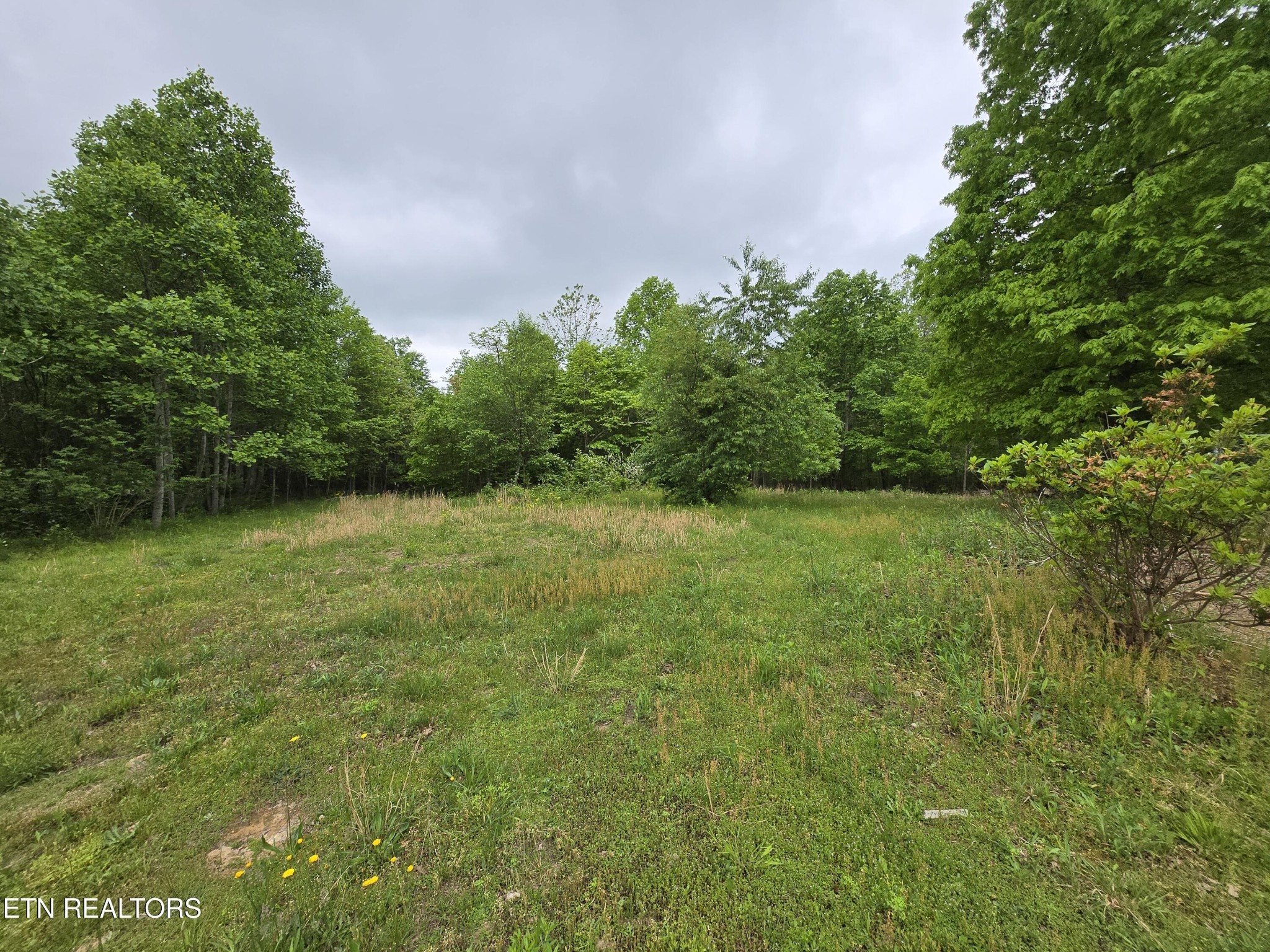 7296 Genesis Rd