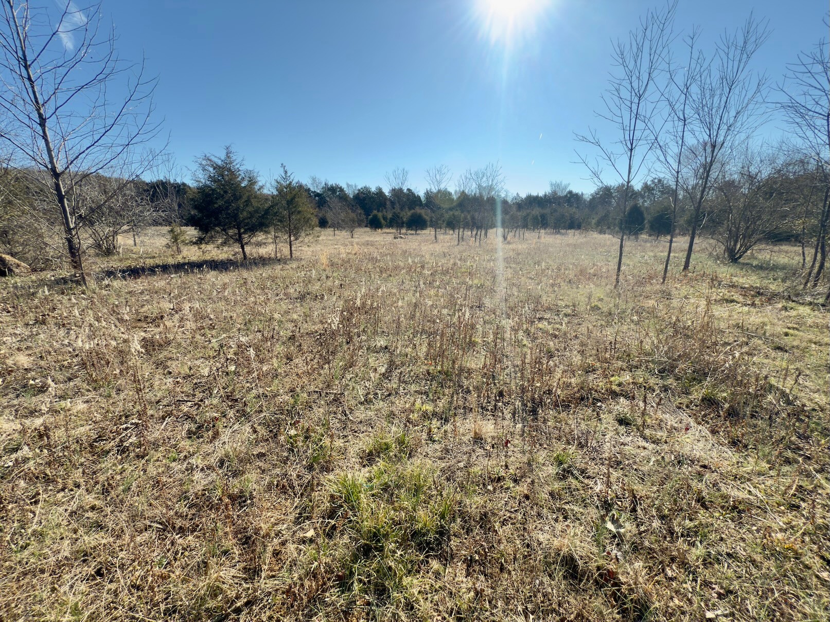 1 Bristol Dr