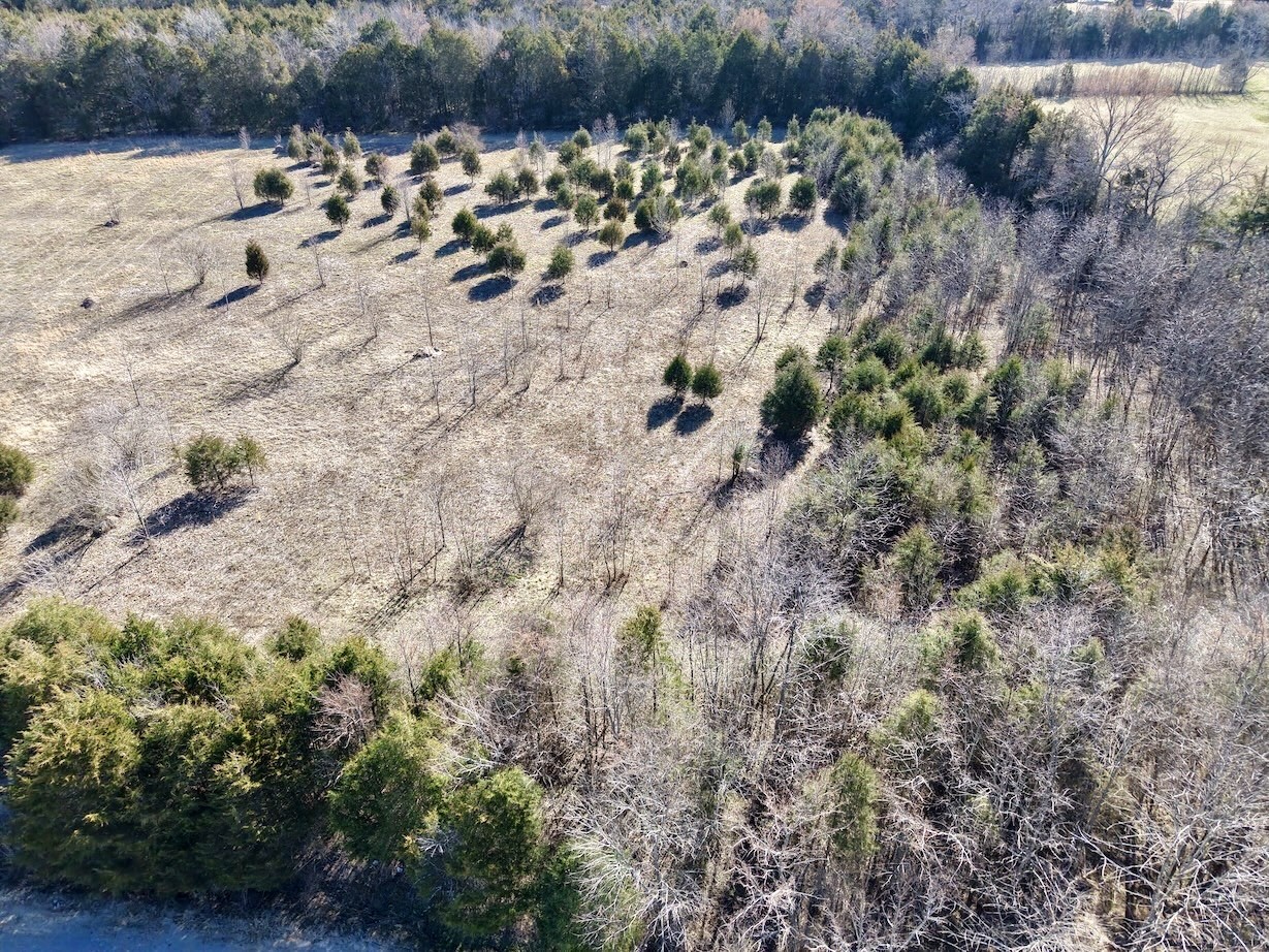 1 Bristol Dr