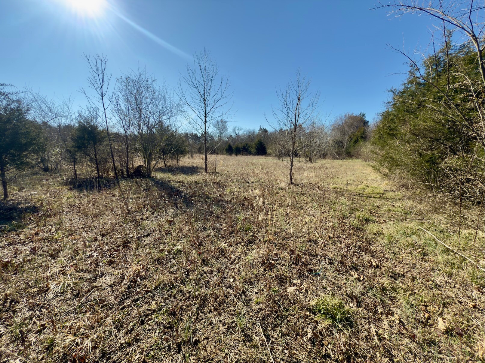 1 Bristol Dr