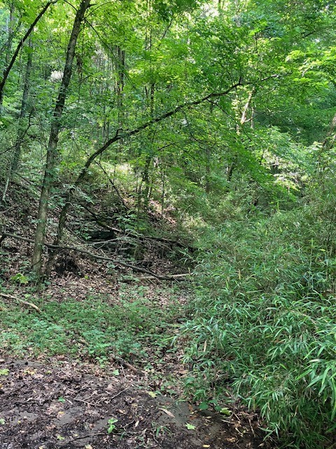 0 slaters creek access