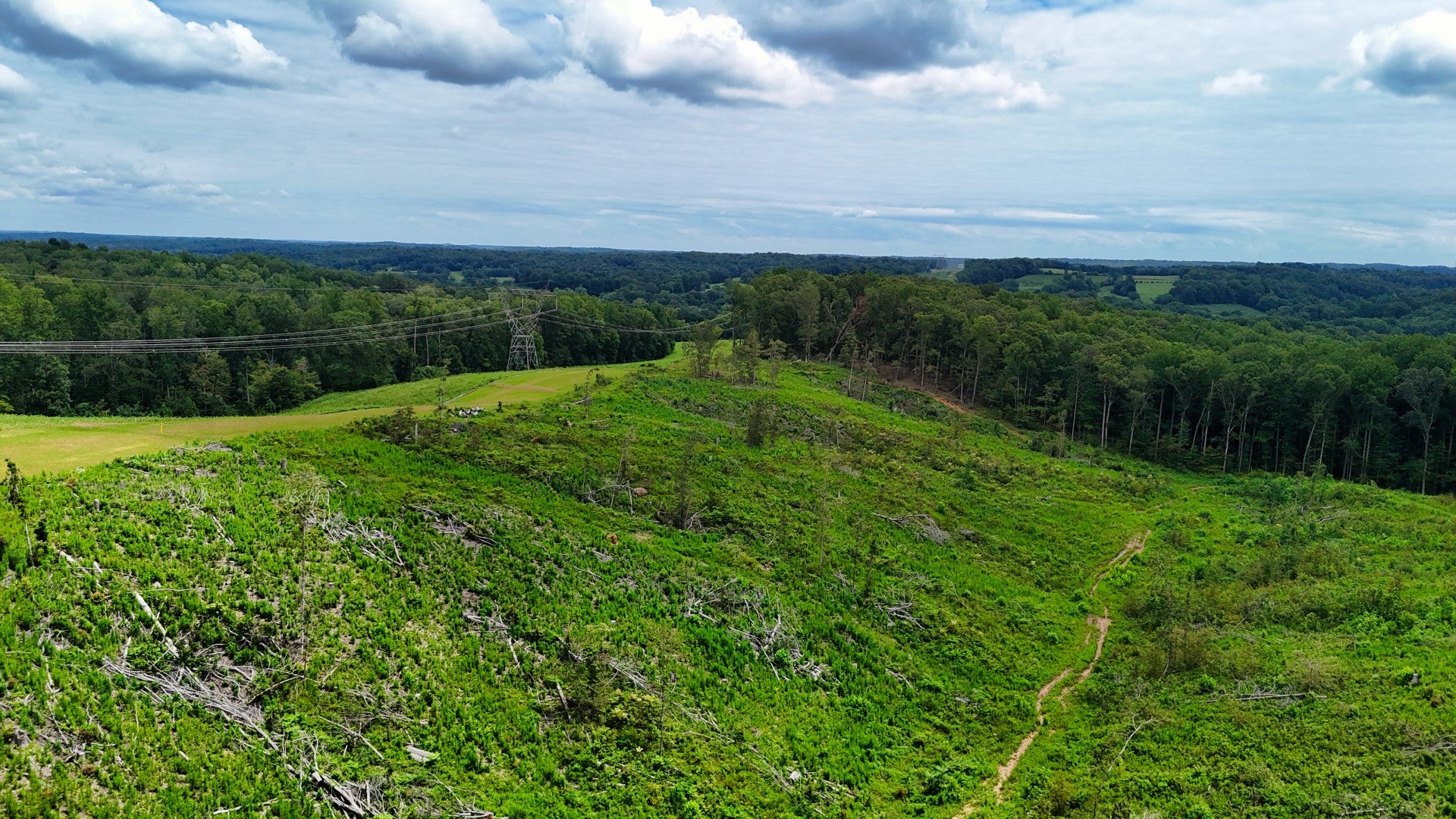 1 Bell Hollow Rd