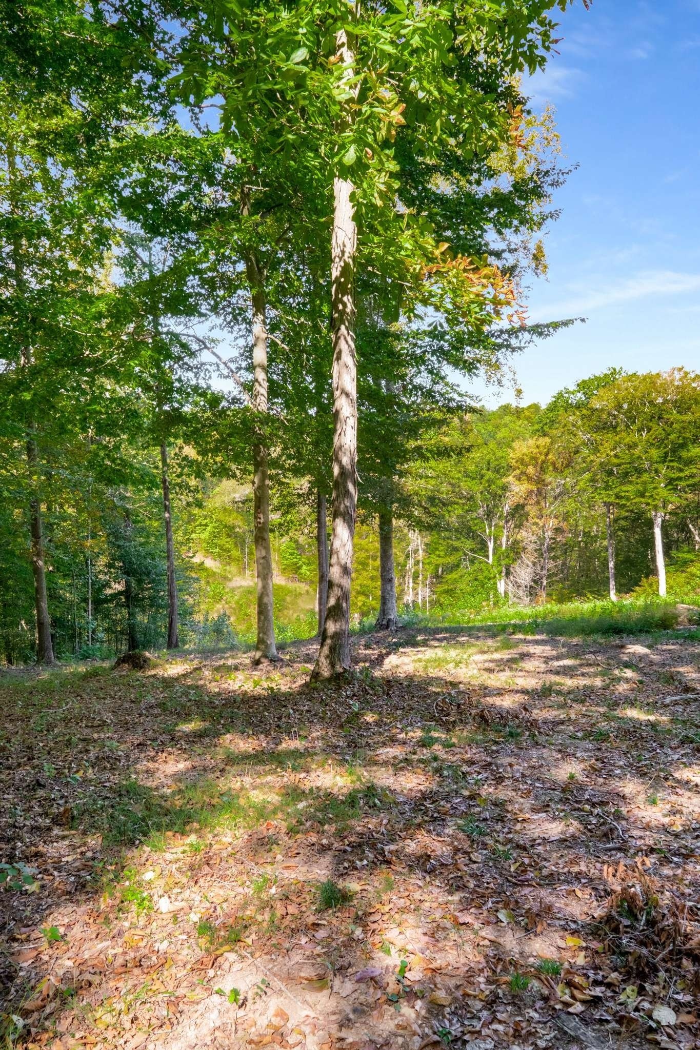 5436 Parker Branch Rd